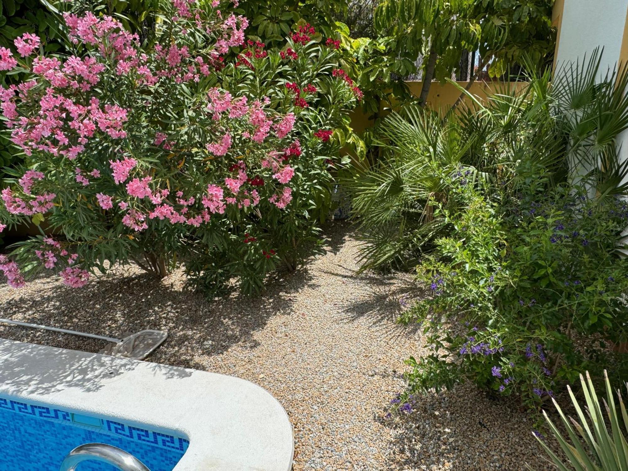 Villa Casa Maravilla Near The Coast