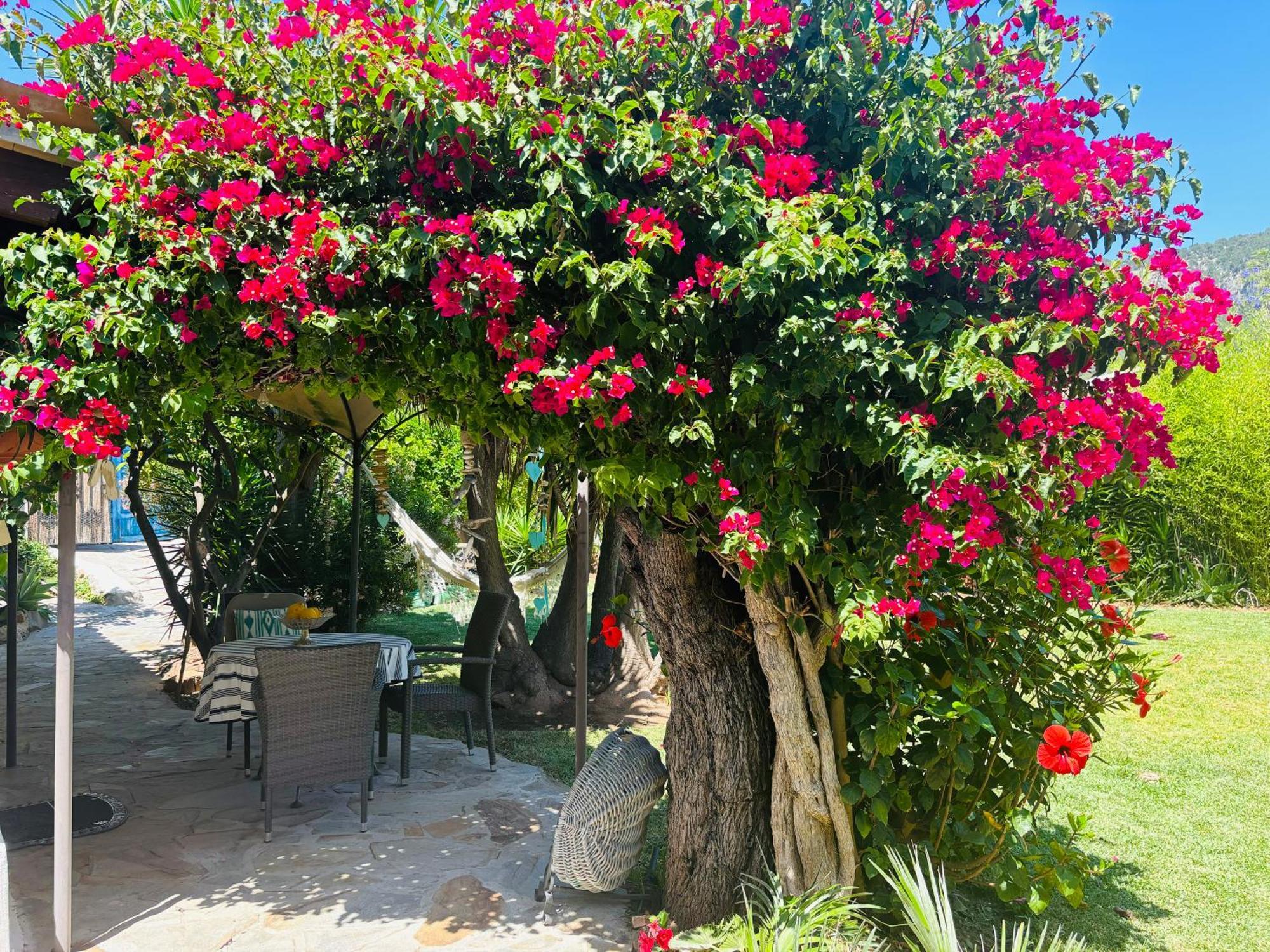 Casita Limón Сasa de vacaciones *