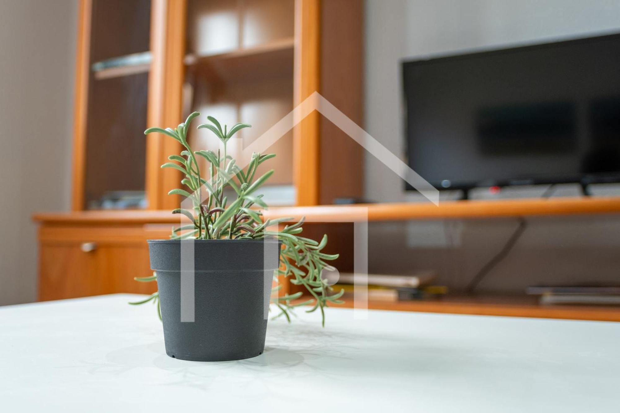 Apartamento La Luz Avilés