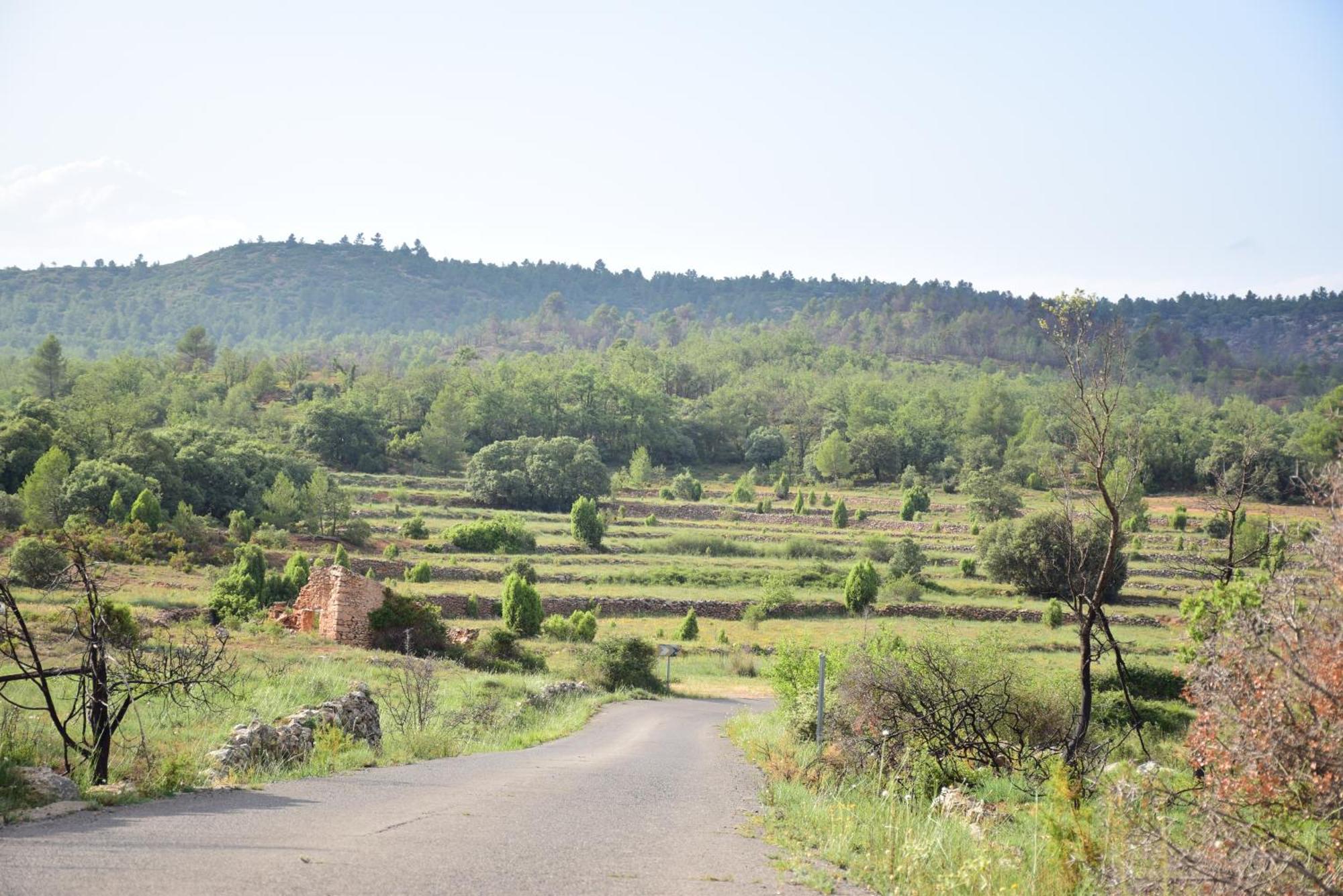 Сasa de vacaciones Oasis Rural