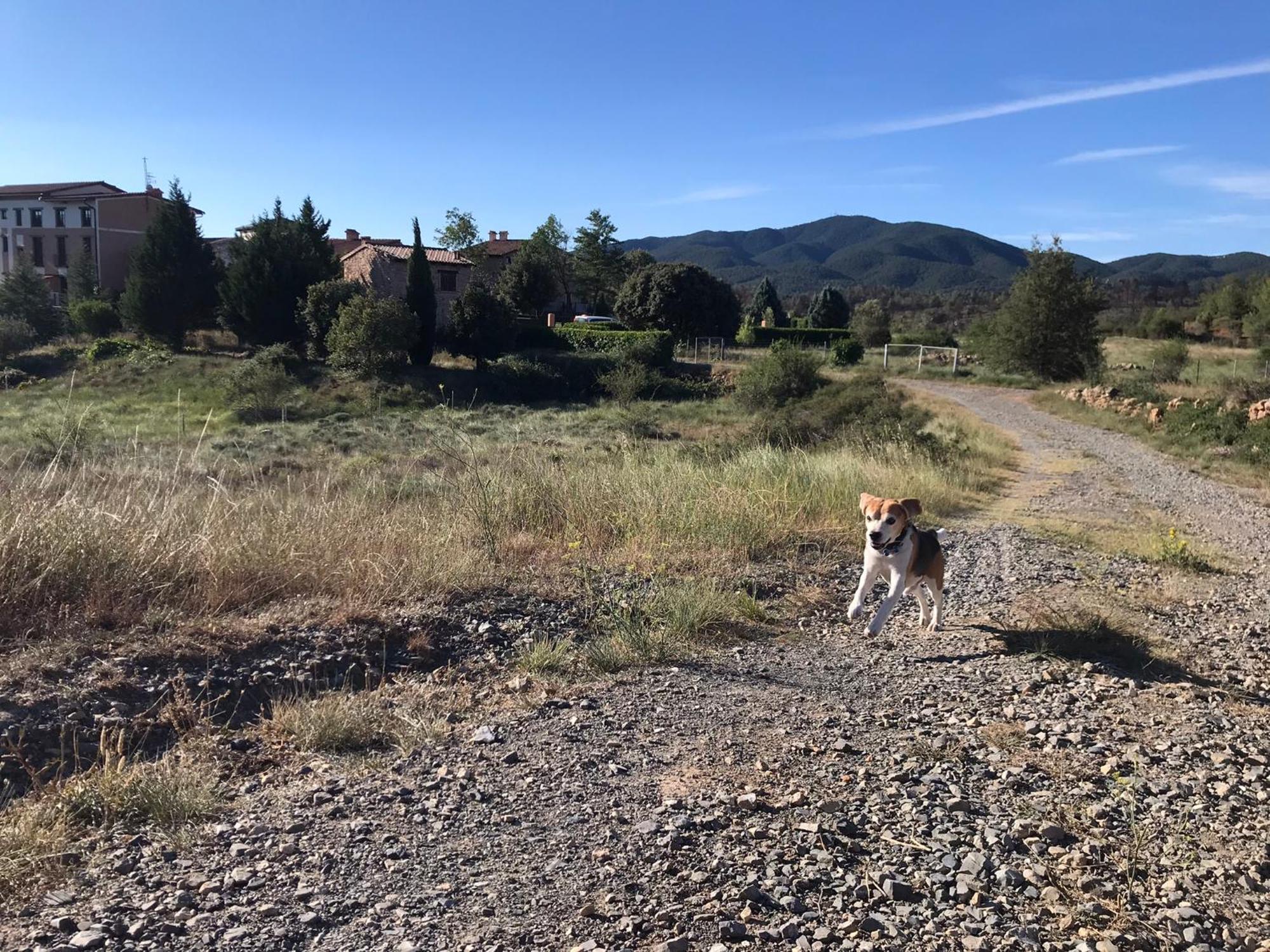 Oasis Rural *