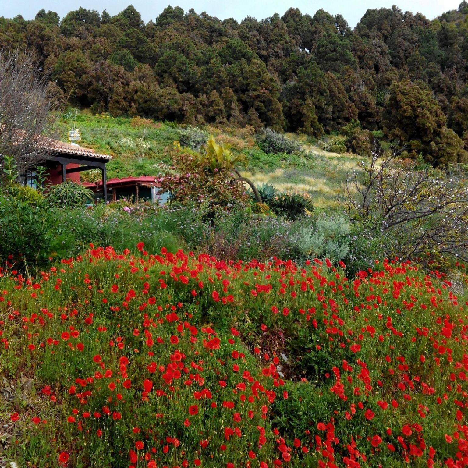 Casa El Retiro En Villa de Mazo