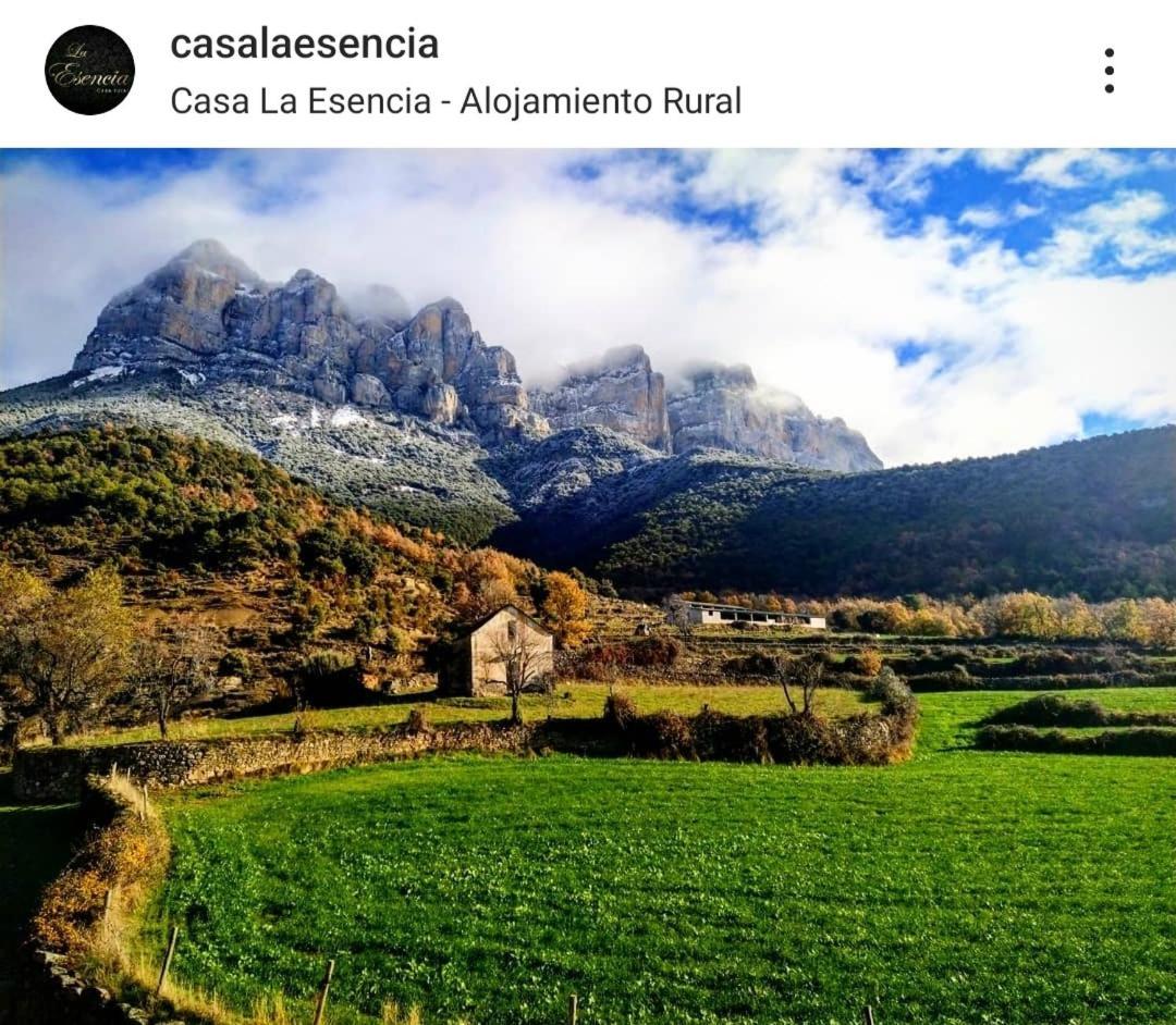 La Bodega De Casa La Esencia