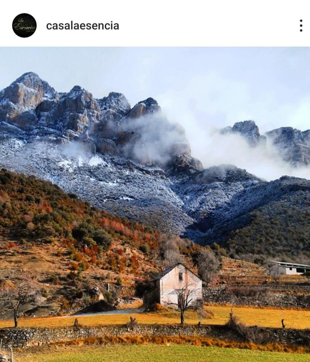 La Bodega De Casa La Esencia Apartamento