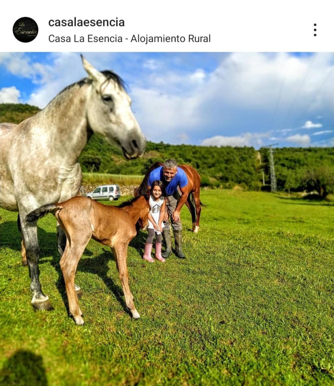 Apartamento La Bodega De Casa La Esencia Aínsa