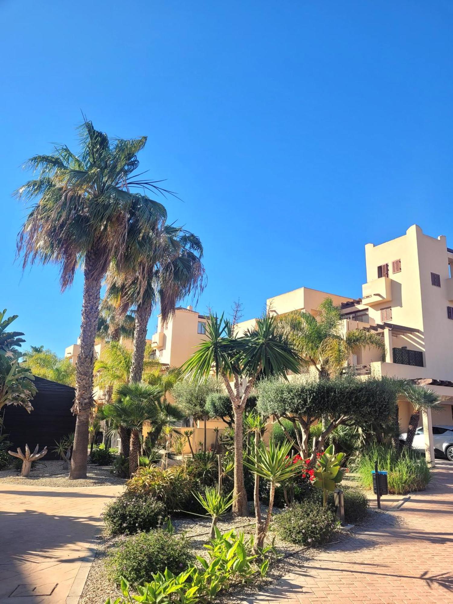 Bajo Con Terraza Espectacular Al Lado De La Playa Y Con Acceso Directo A La Piscina! *