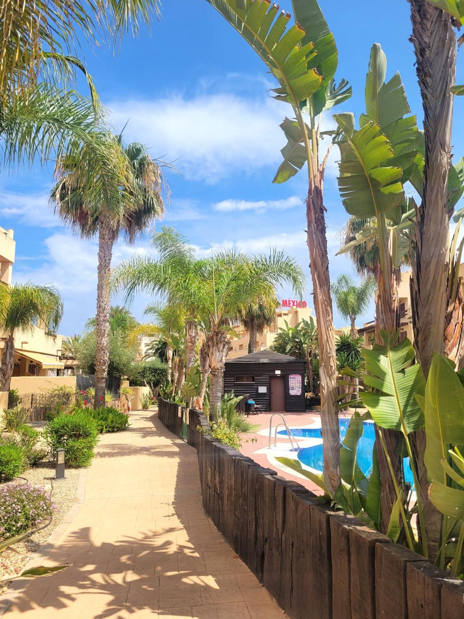 Bajo Con Terraza Espectacular Al Lado De La Playa Y Con Acceso Directo A La Piscina!