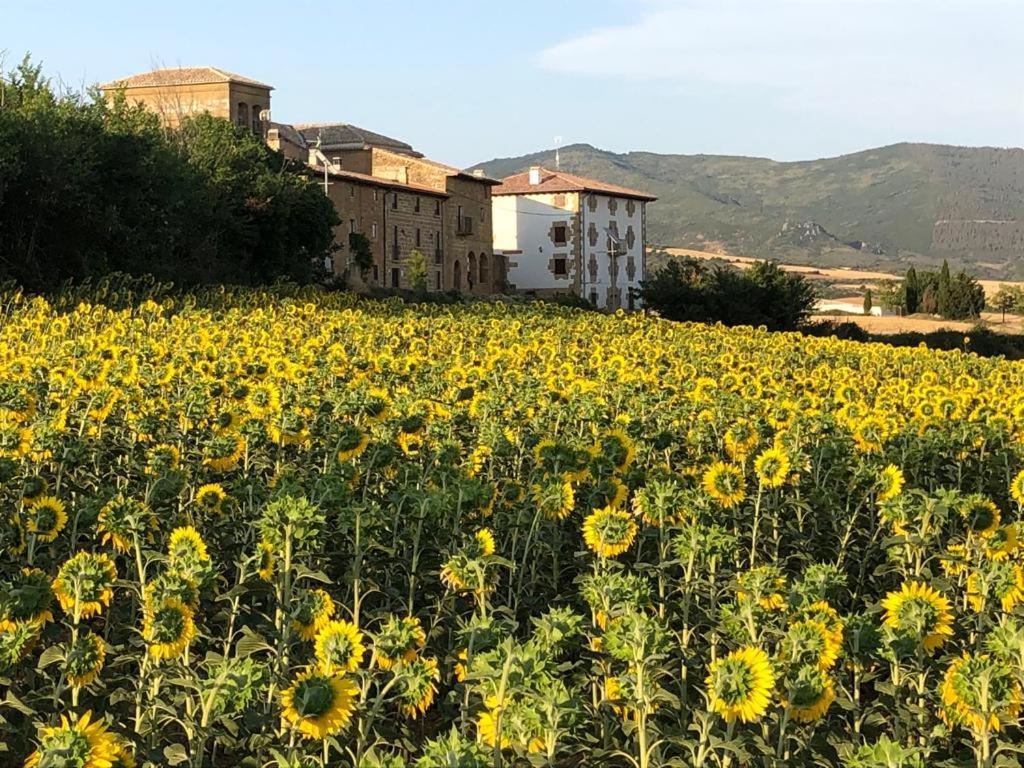 Migueltxoenea Сasa de vacaciones Lacar