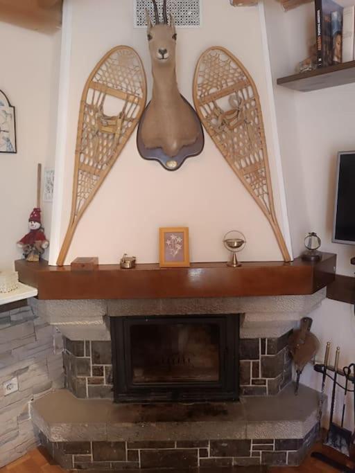 Pena Telera Petfriendly - Arafita