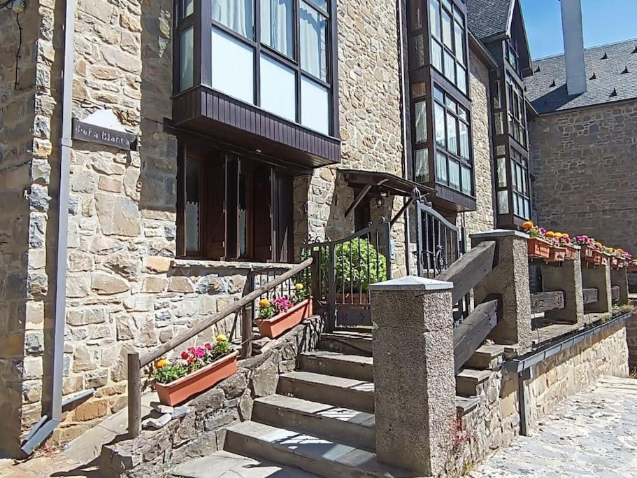 Pena Telera Petfriendly - Arafita Apartment El Pueyo de Jaca