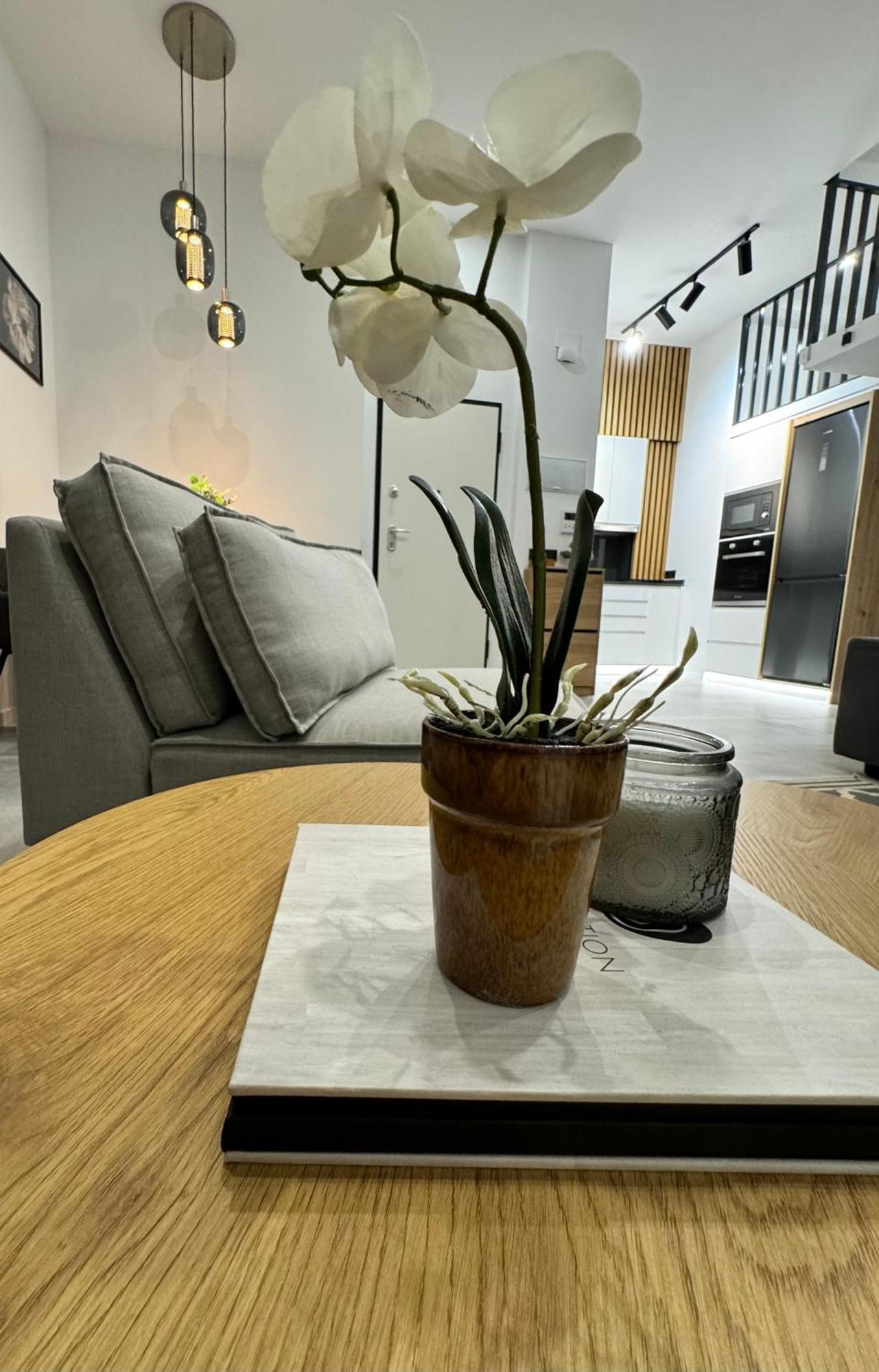 Apartamento Bonita B5