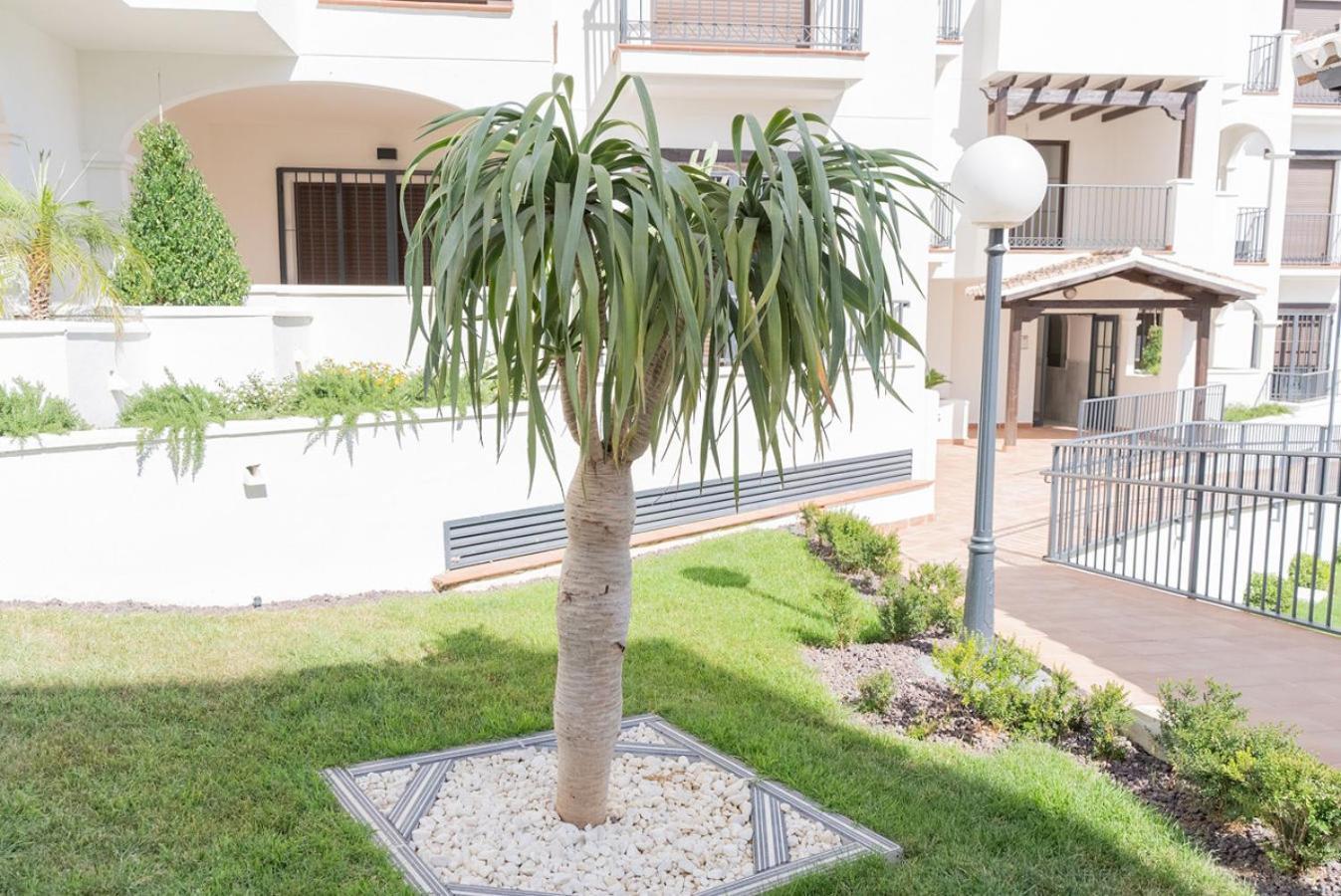 Todimer New Pueblo Mediteraneo Apartment