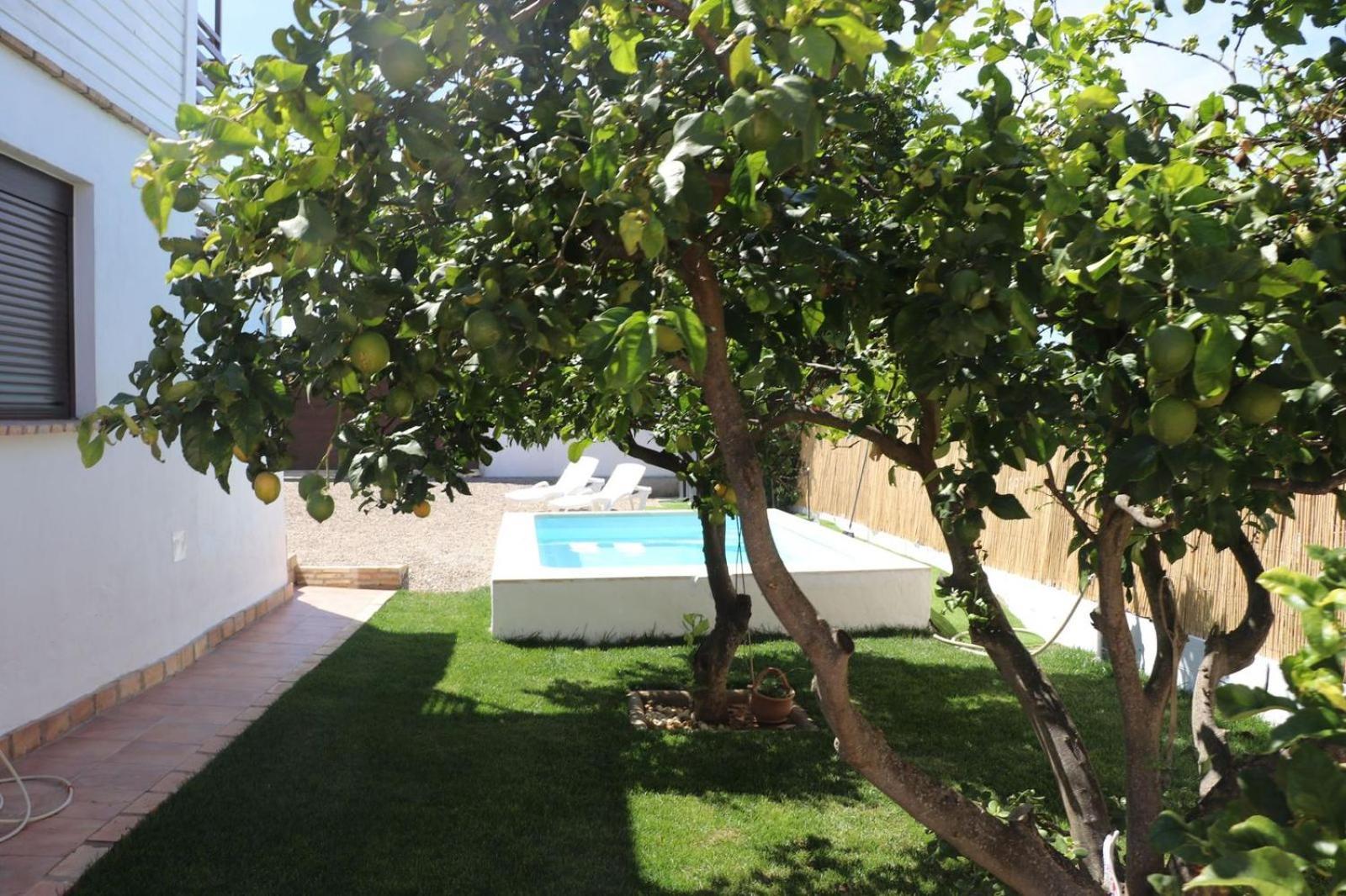 Casa Abuelo Miguel Conil De La Frontera