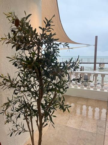 Restaurant Juanito Platja Hotel *