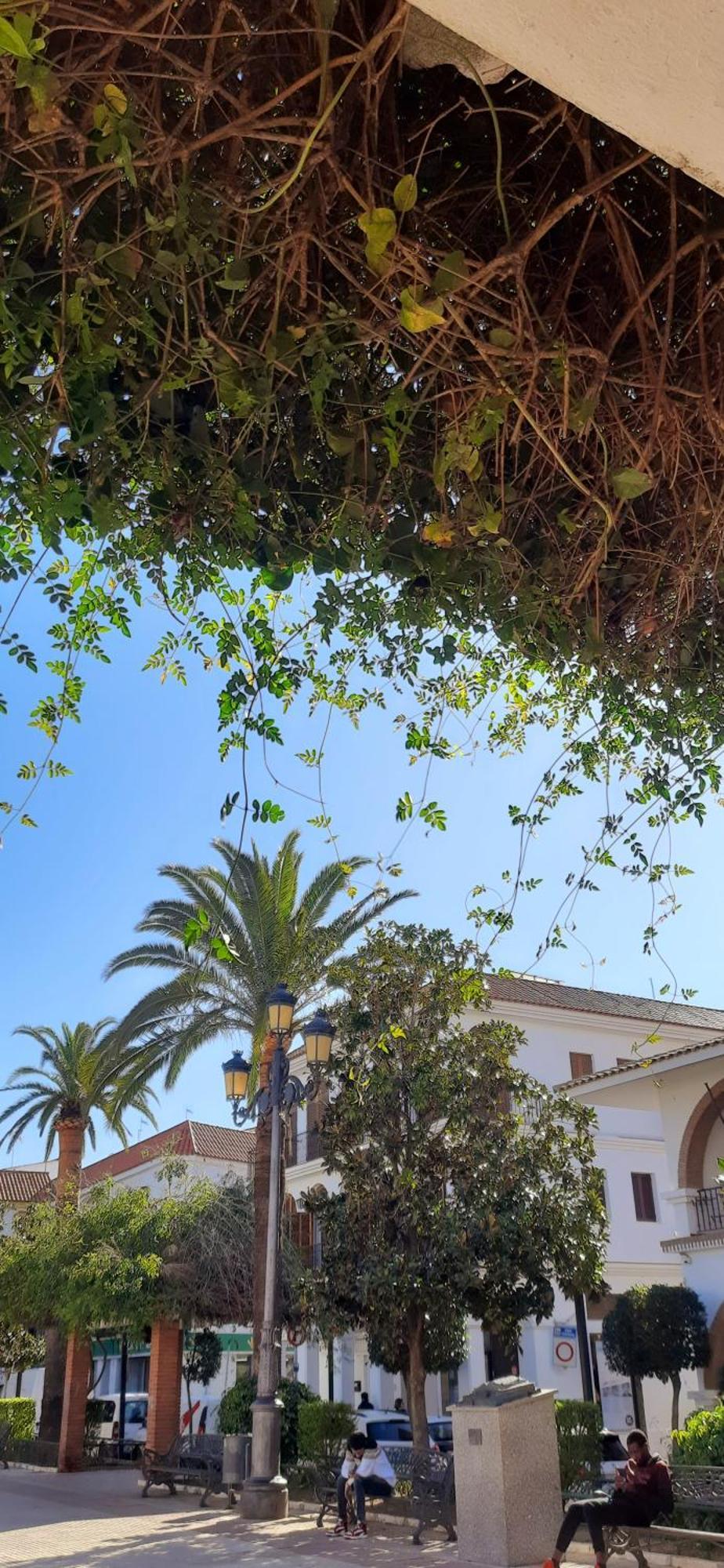 Holiday home Casa Lea *