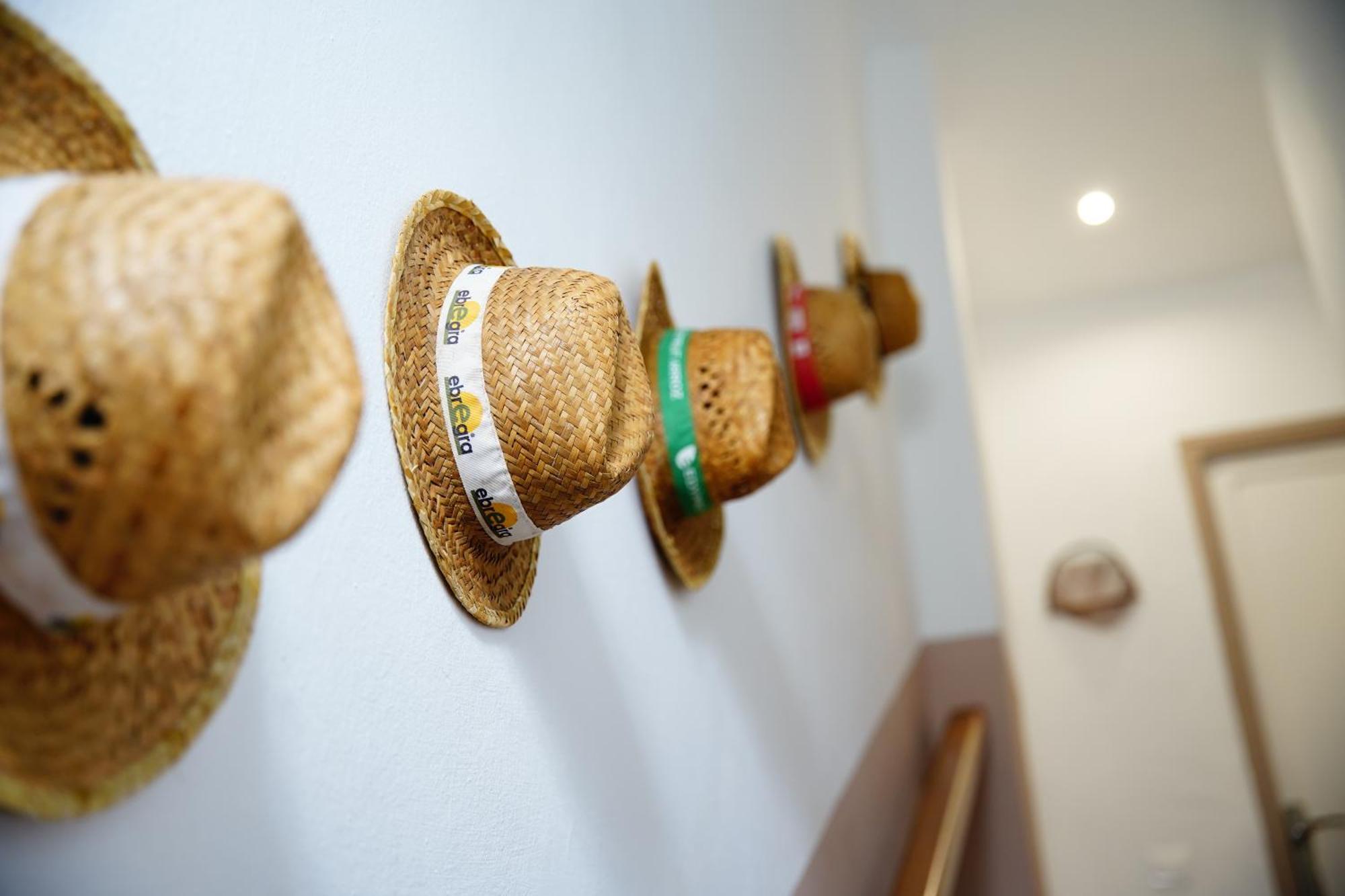 Holiday home Casa Pastoret Deltebre