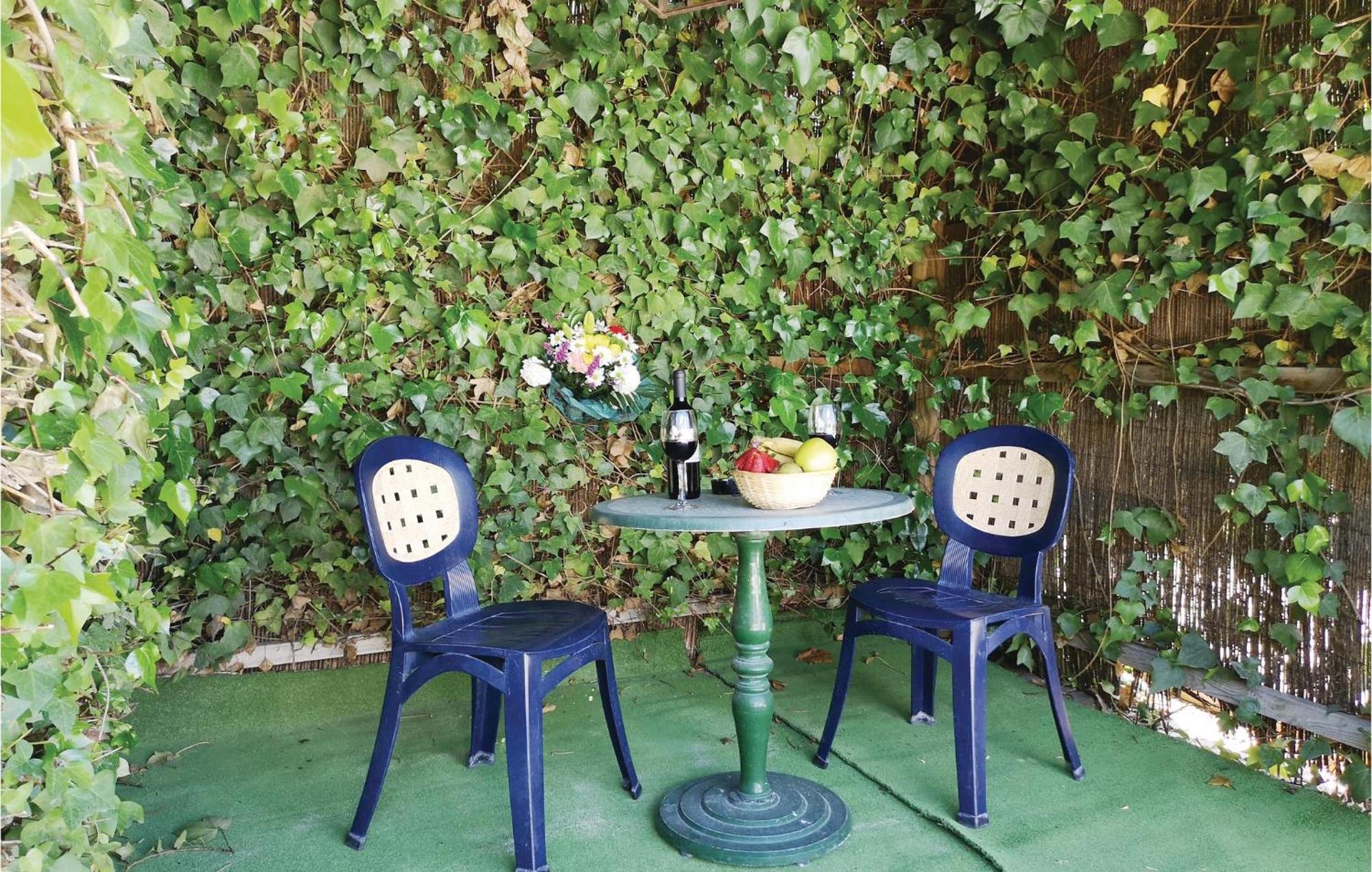 Pet Friendly In With Kitchen Olvera