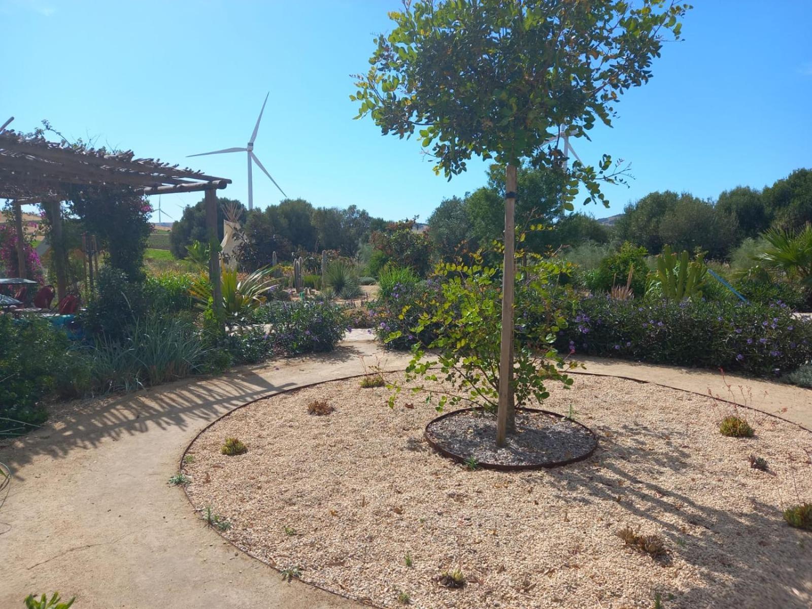 Milagro De Algar Pensión