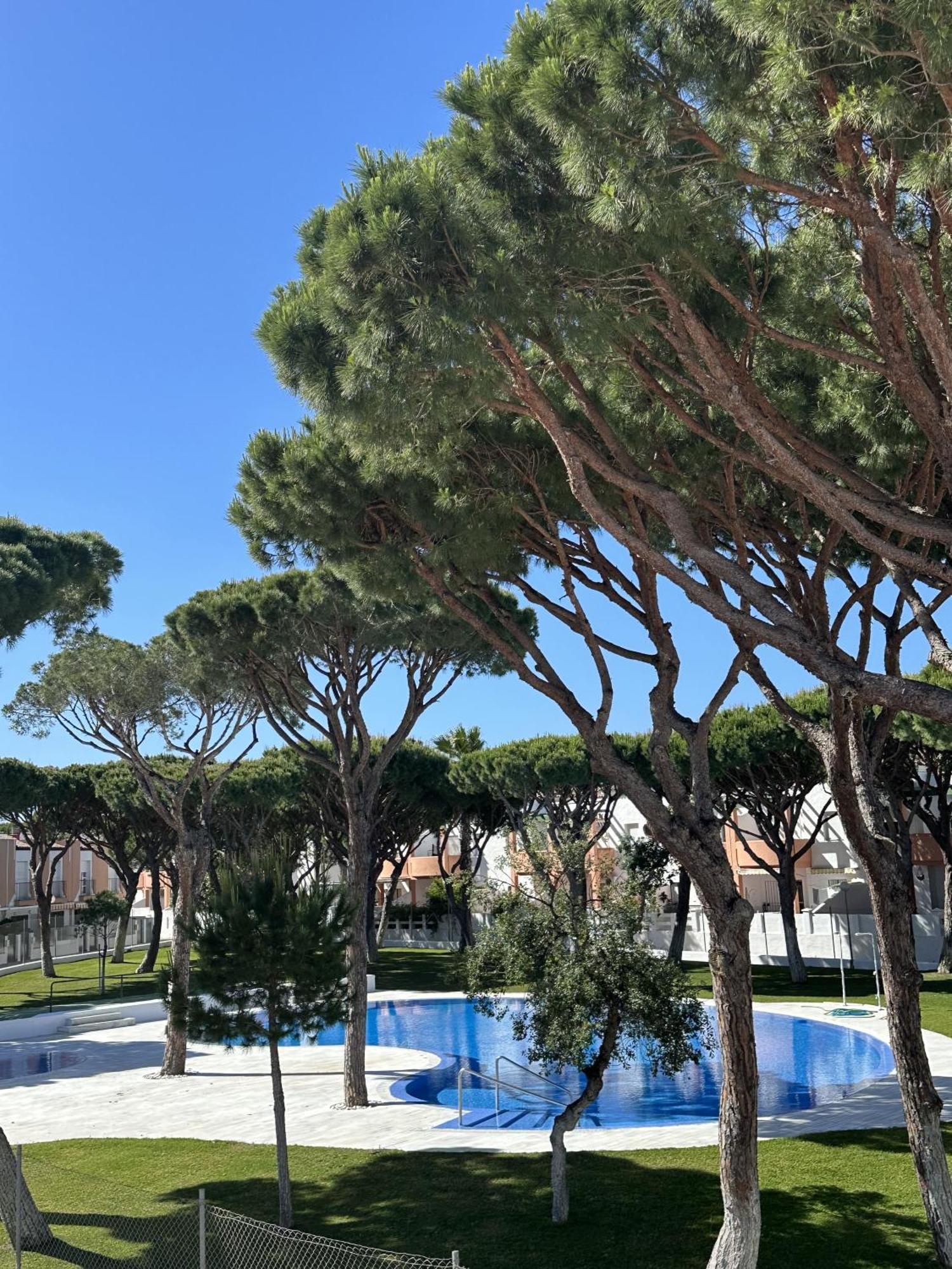 Ref D2 Duplex 3 Hab Playa Sol Chiclana de la Frontera