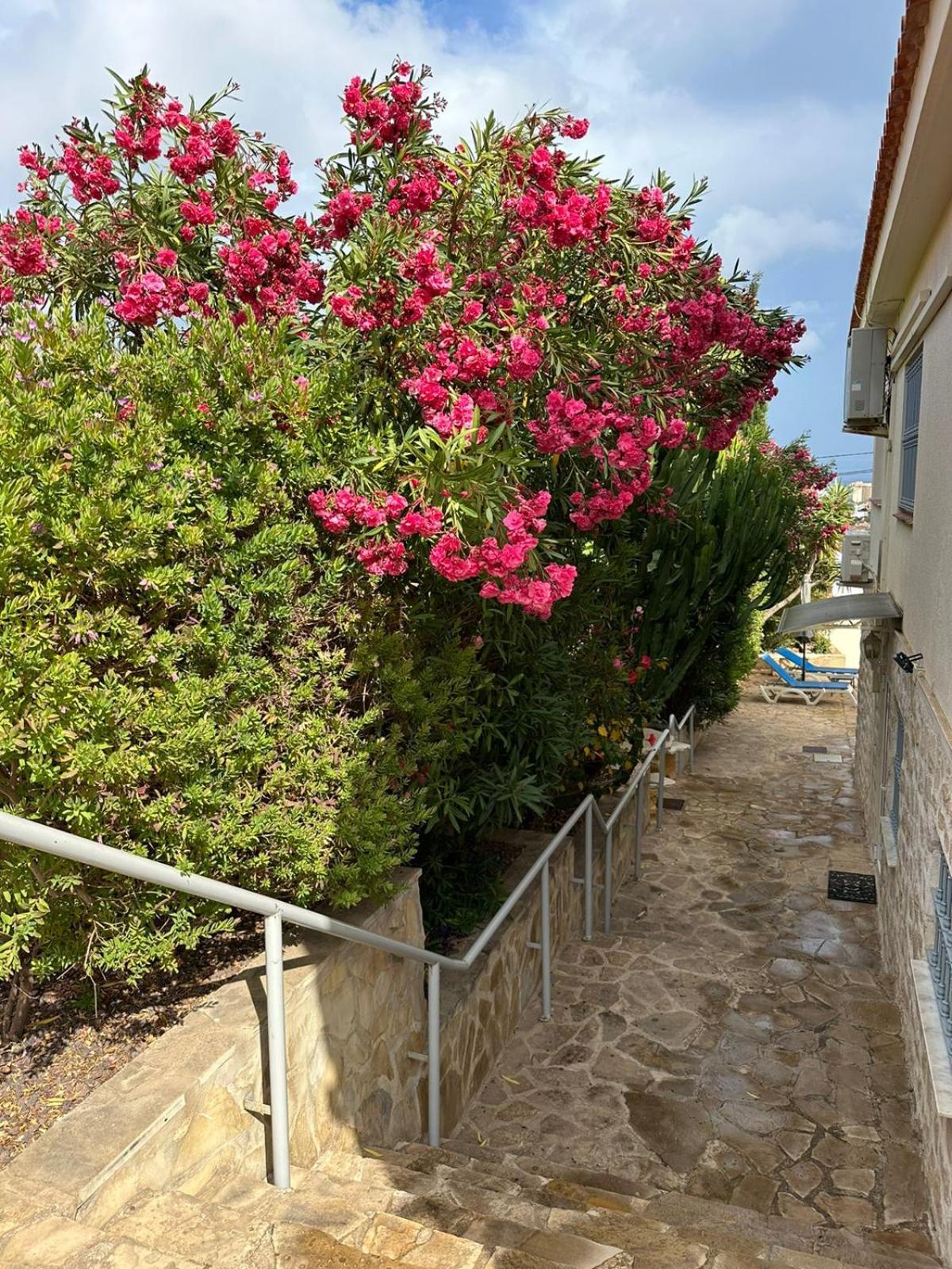 Apartamento En La Con El Territorio Comun En Calpe