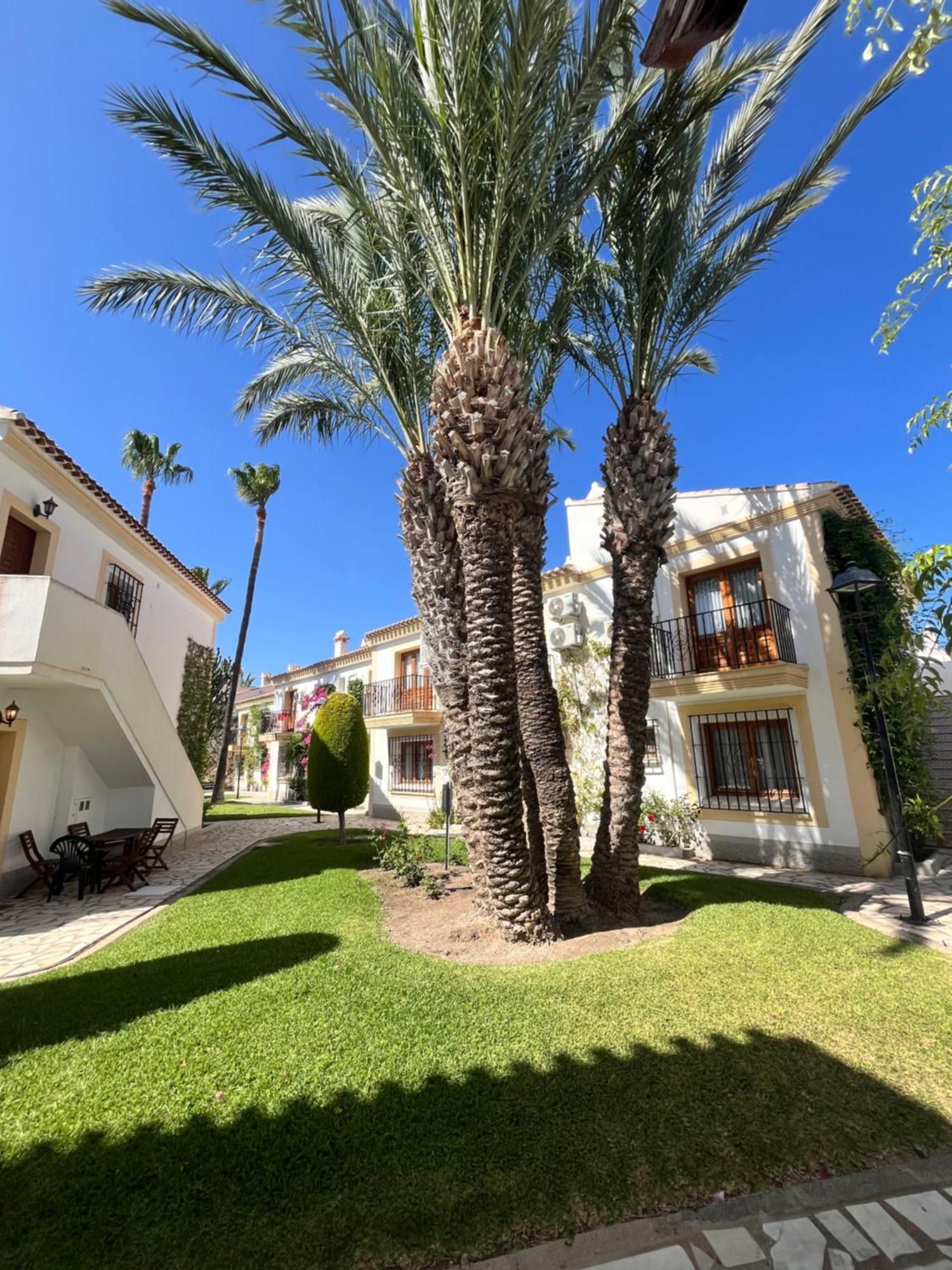 Apartamento Casa De Olivia Vera Coast *