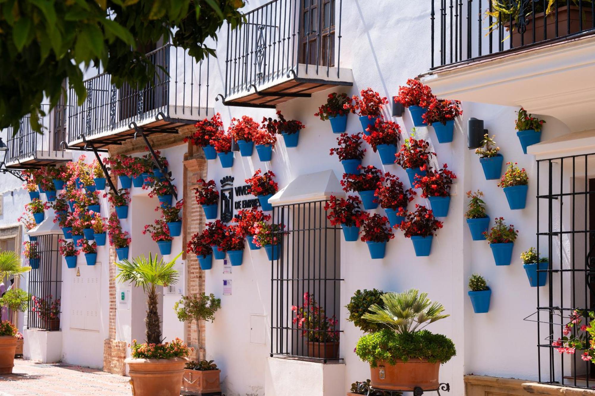 Paraiso Del Mar Parking Y Piscina 454 Apartamento