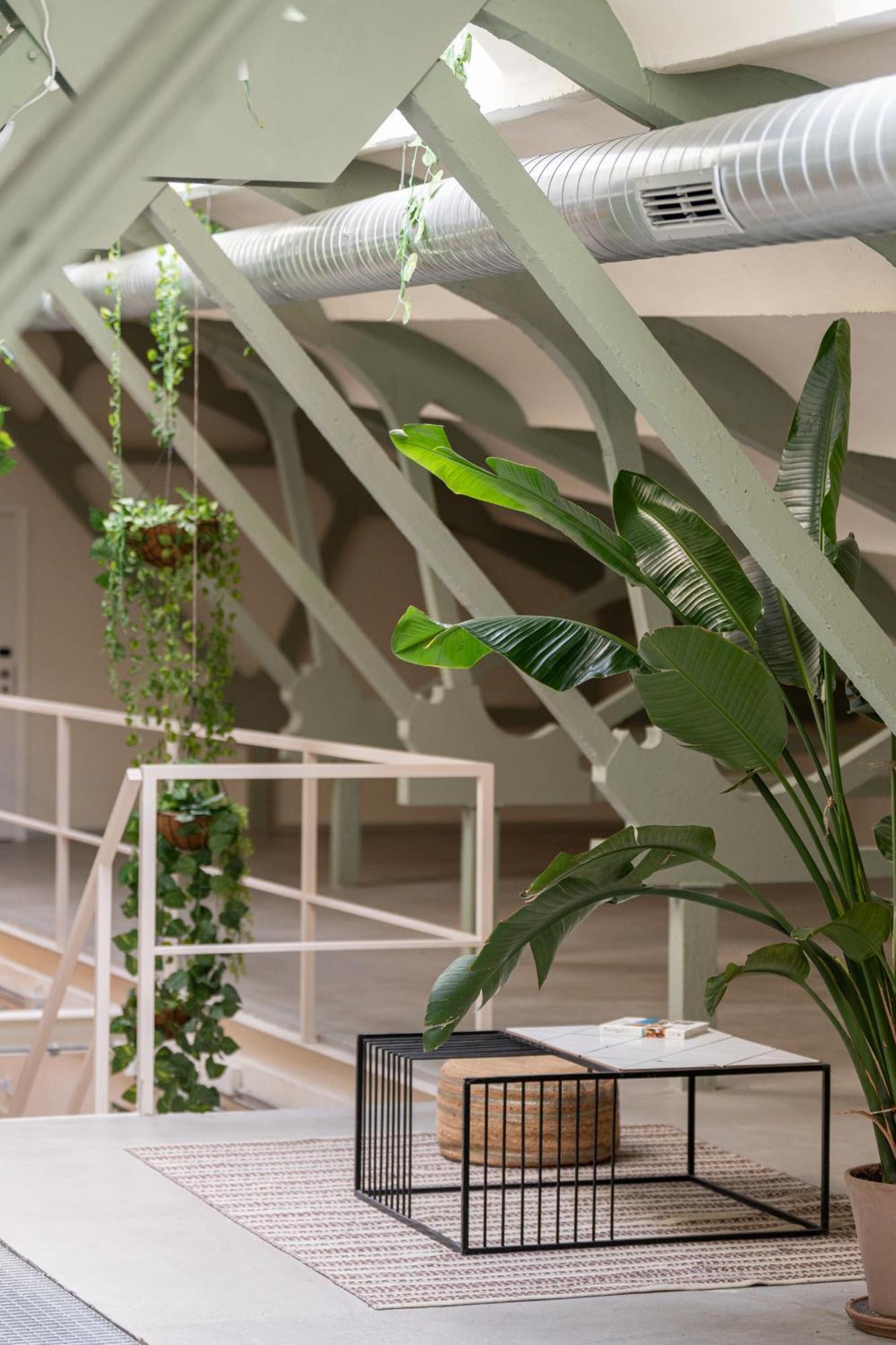 Ola Living Tetuan * Madrid
