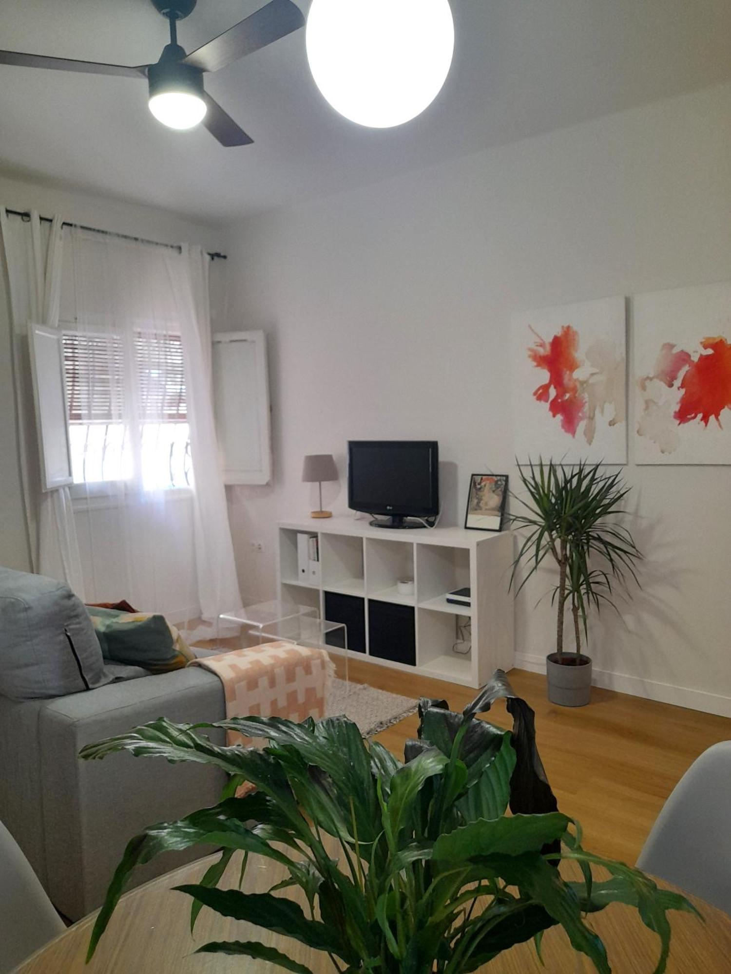 Apartamento Amar-cura Málaga