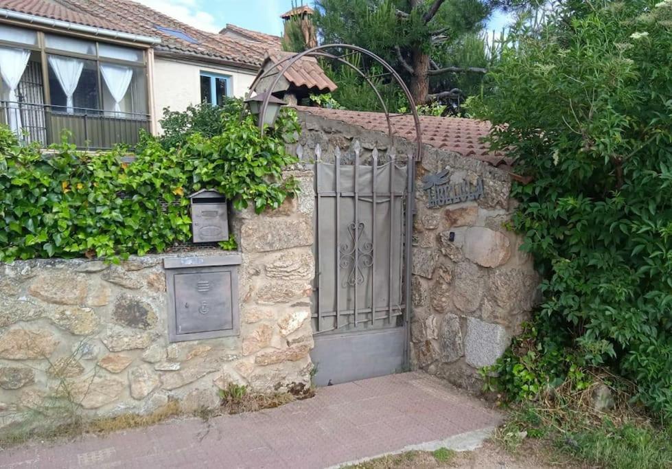 Libelula * La Losa