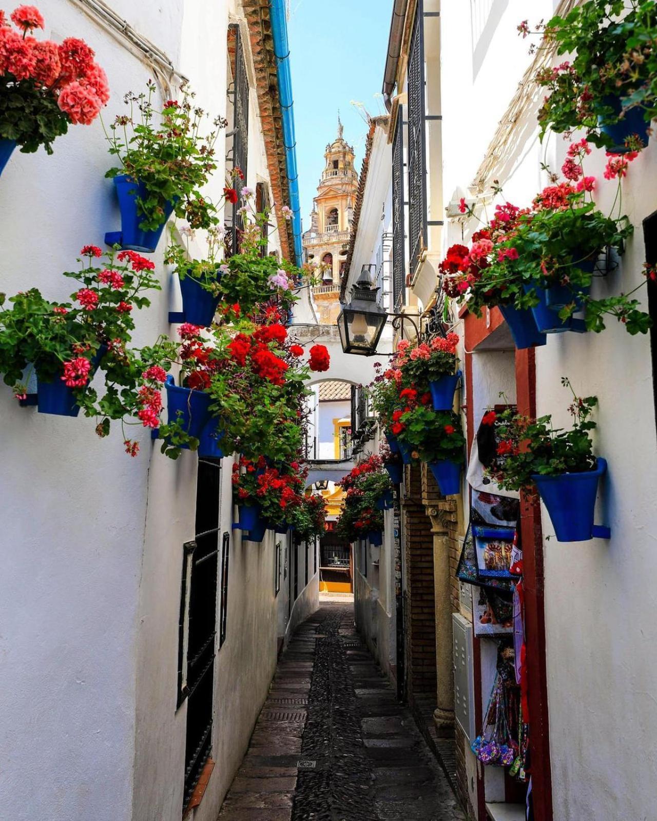 Сasa de vacaciones Lustre N 11 Córdoba