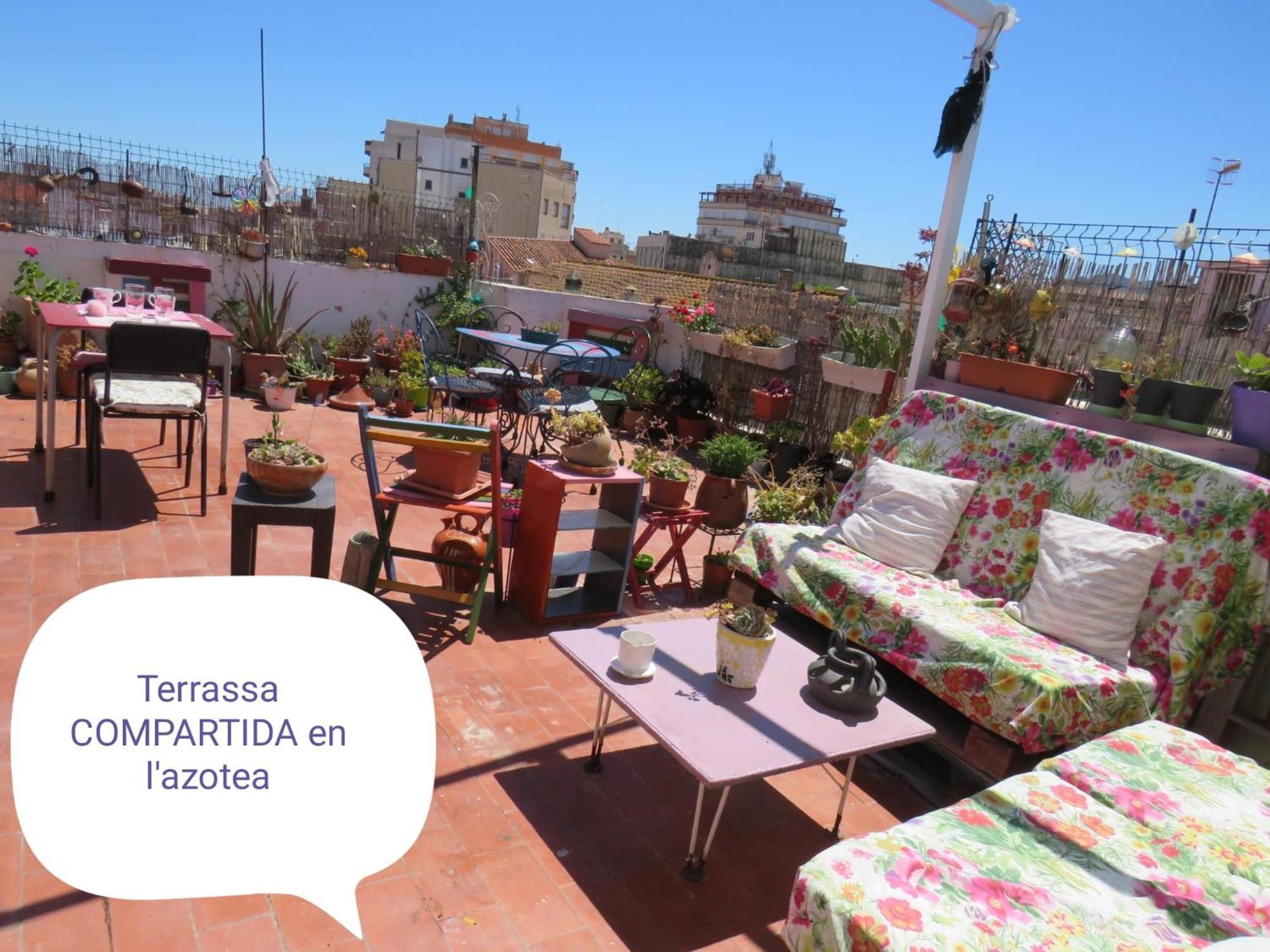 Homestay Lo Flamenc @amposta *