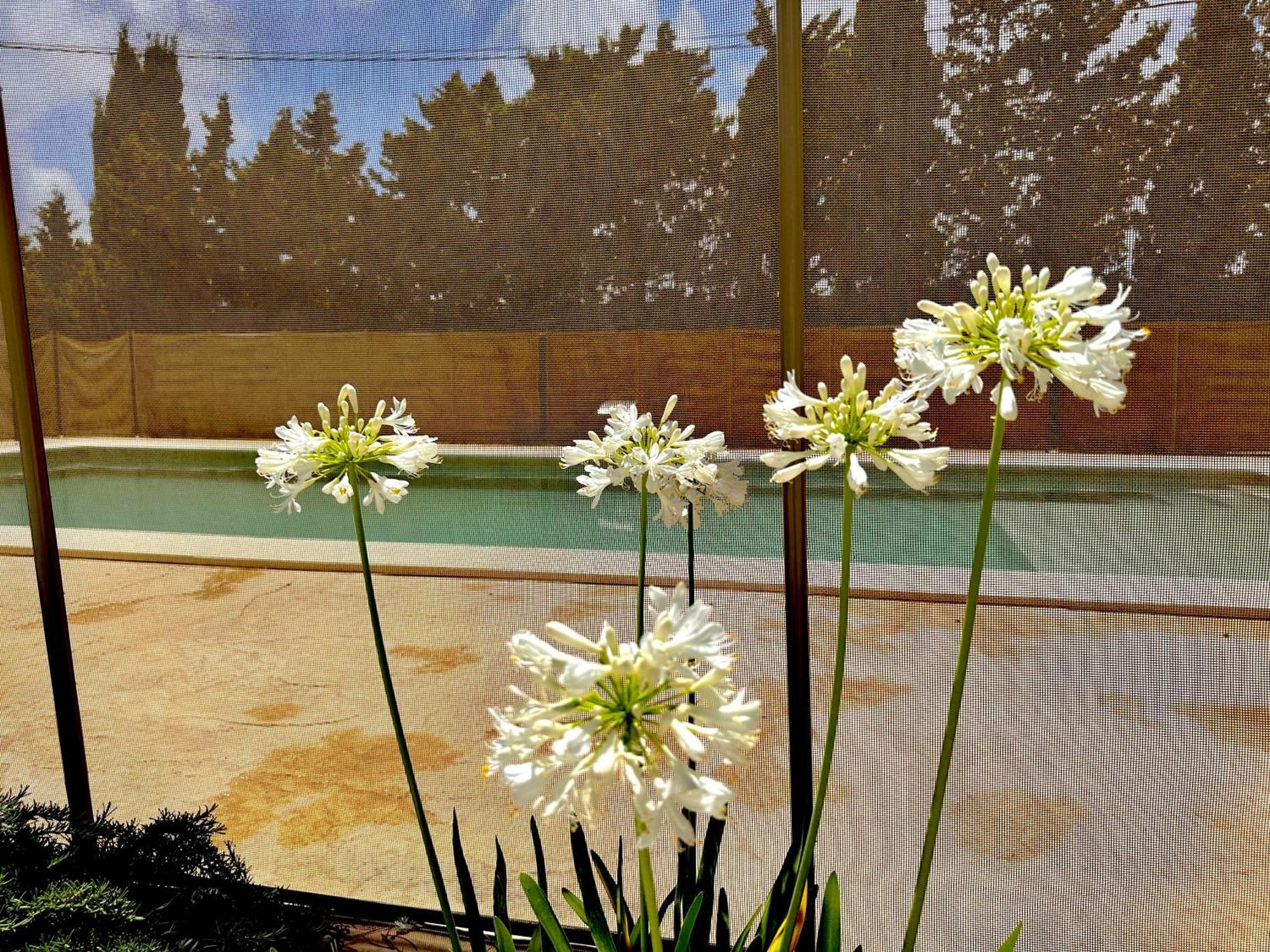 Agradable Con Piscina En La Barrosa Holiday home Chiclana de la Frontera