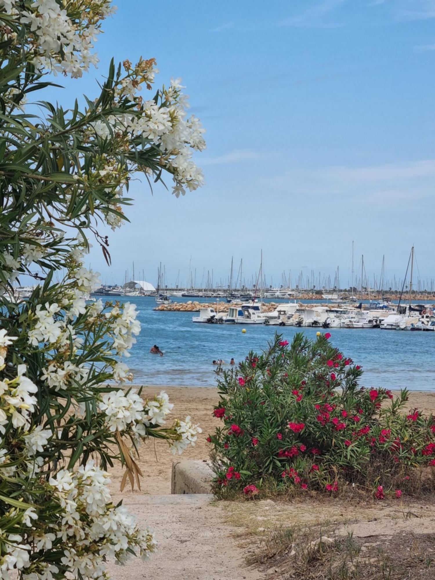 Leonarda Torrevieja