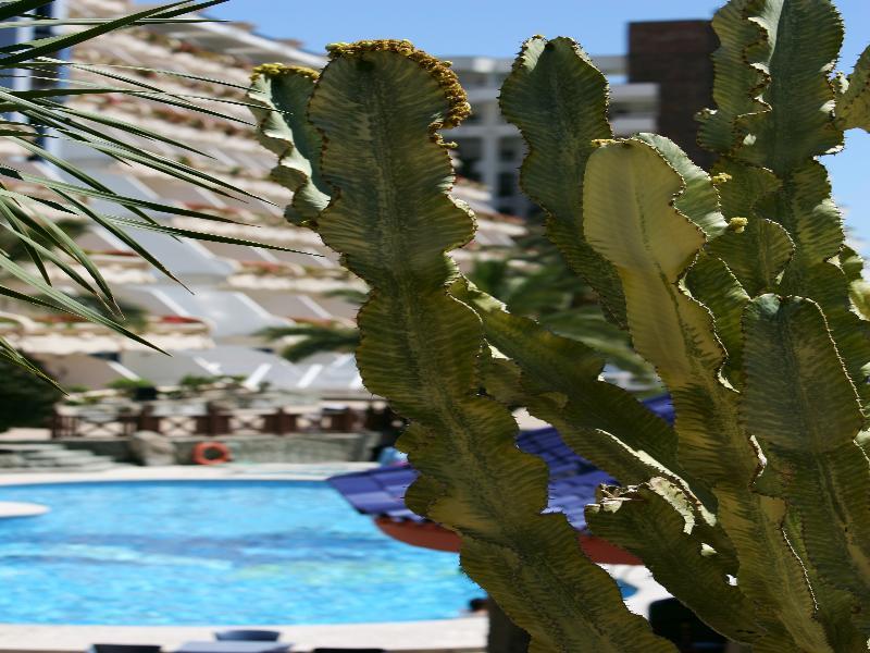 Livvo & Aquapark