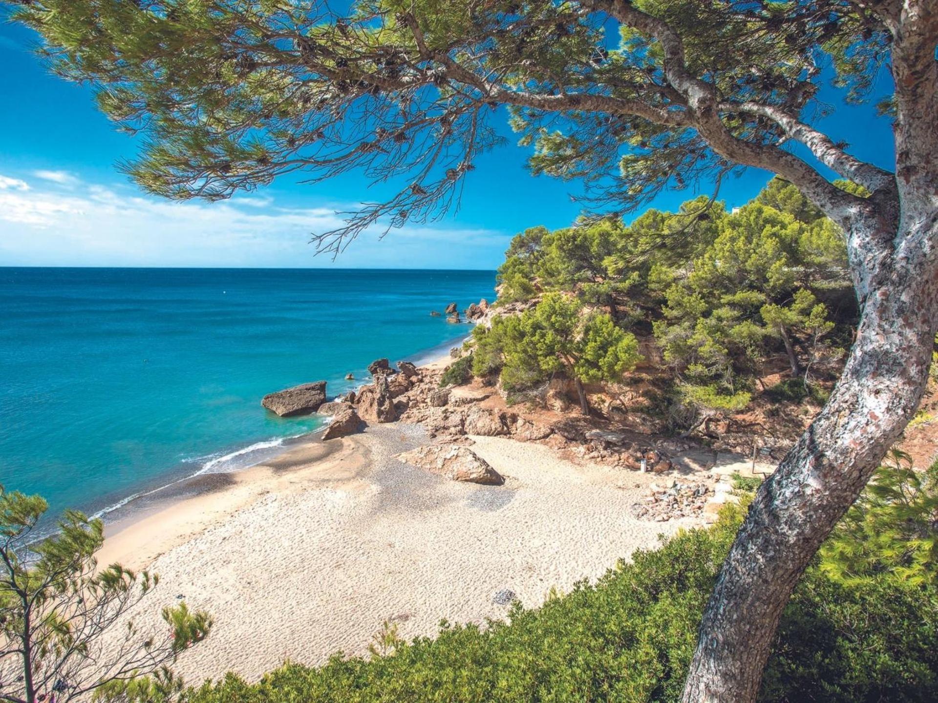 Blau Mar, 5 Bedroom With Private Pool Costa Dorada 100m From The *