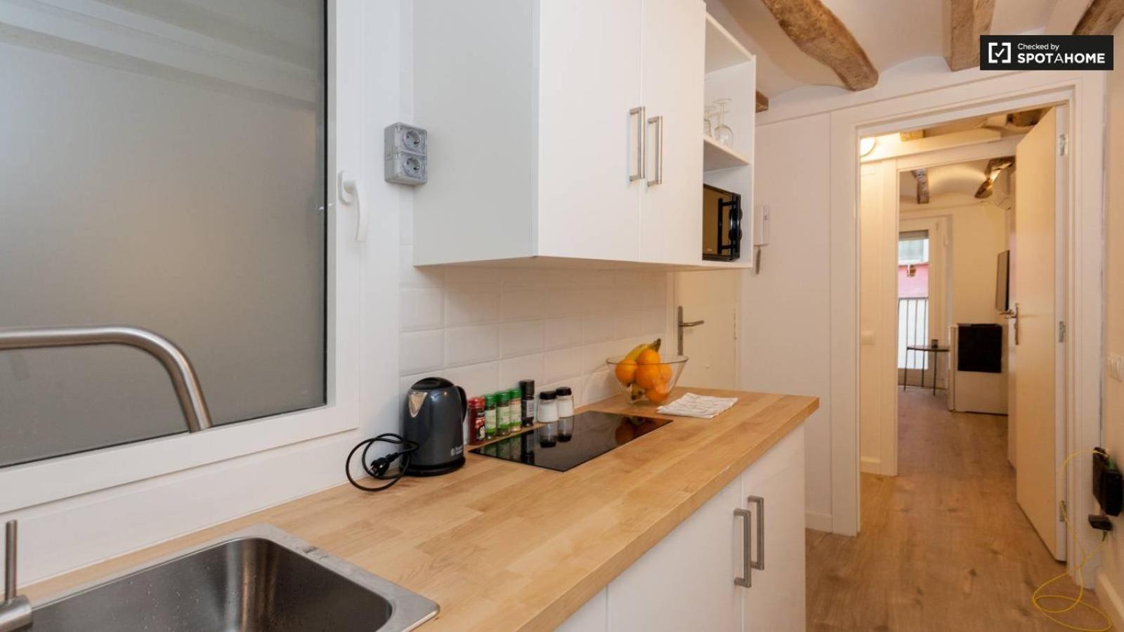 Apartment Ramblas Chic - 03 *