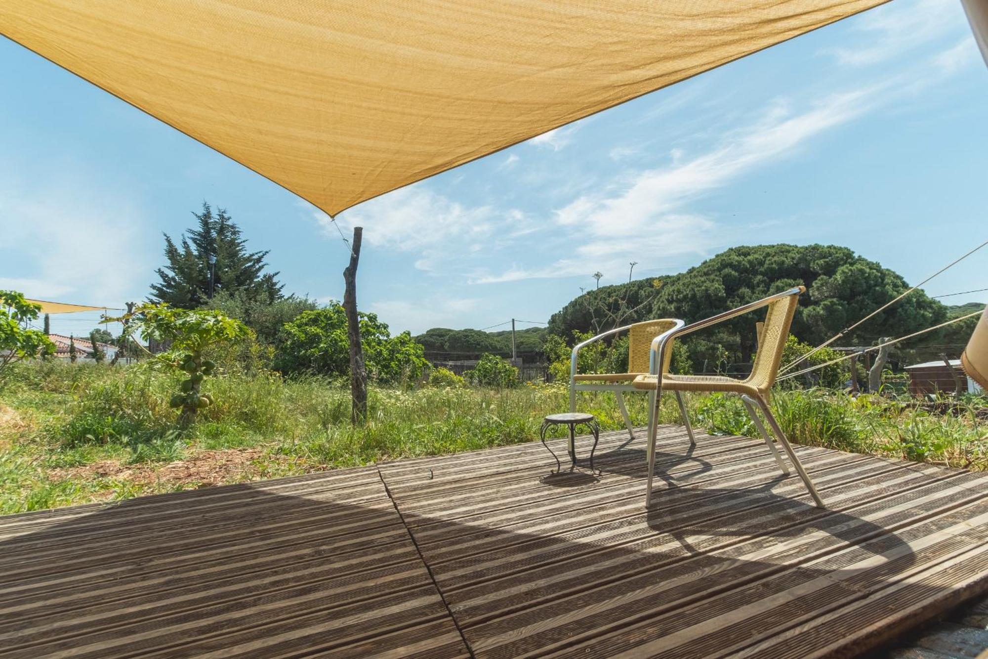 Stone Pines Eco Glamping *