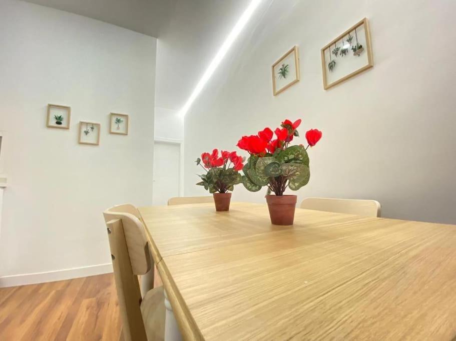 Karin Apartment