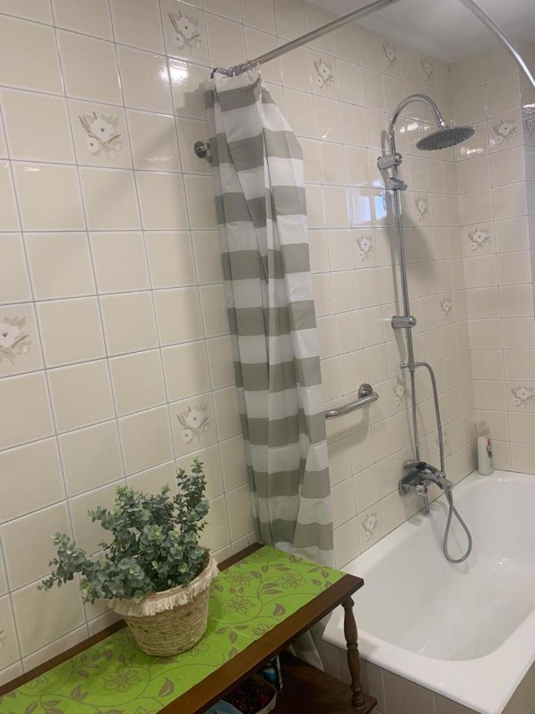 Apartamento Piso En Xinzo De Limia, Muy Luminoso De 3 Xinzo de Limia