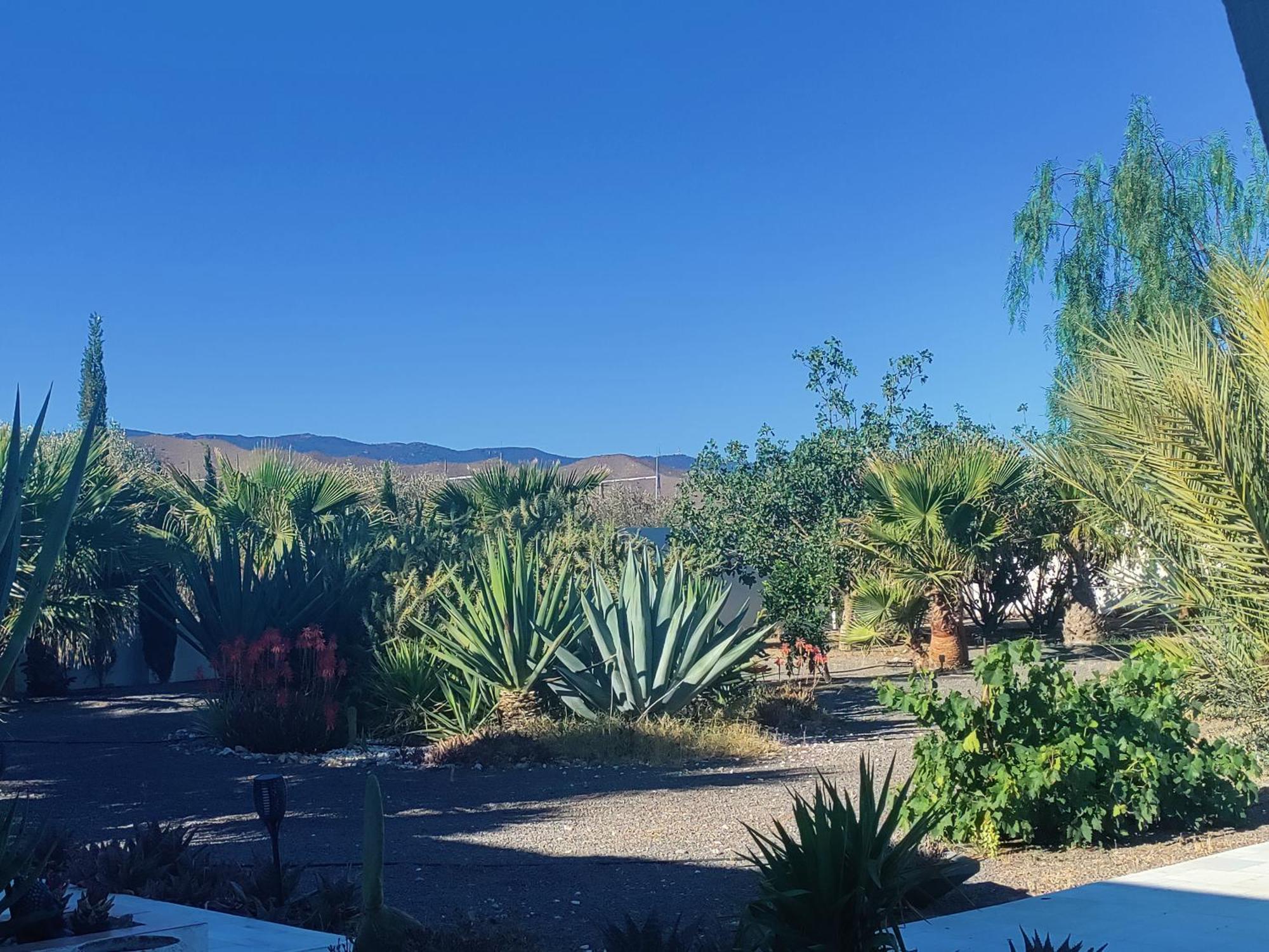Cortijo Oro Verde Country house Tabernas