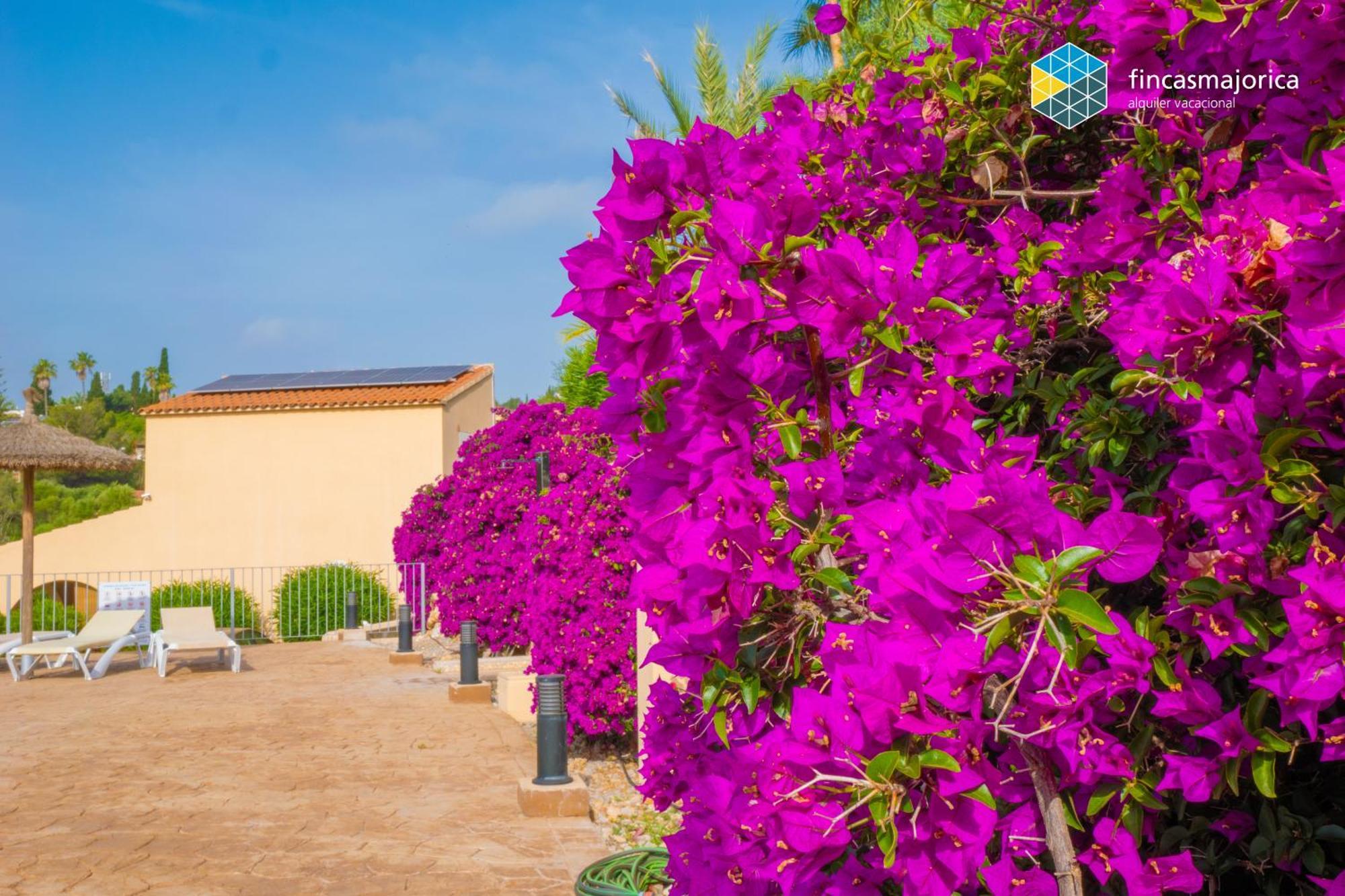 Casa Josemar - Casa Con Piscina Junto A La Playa En Villa *