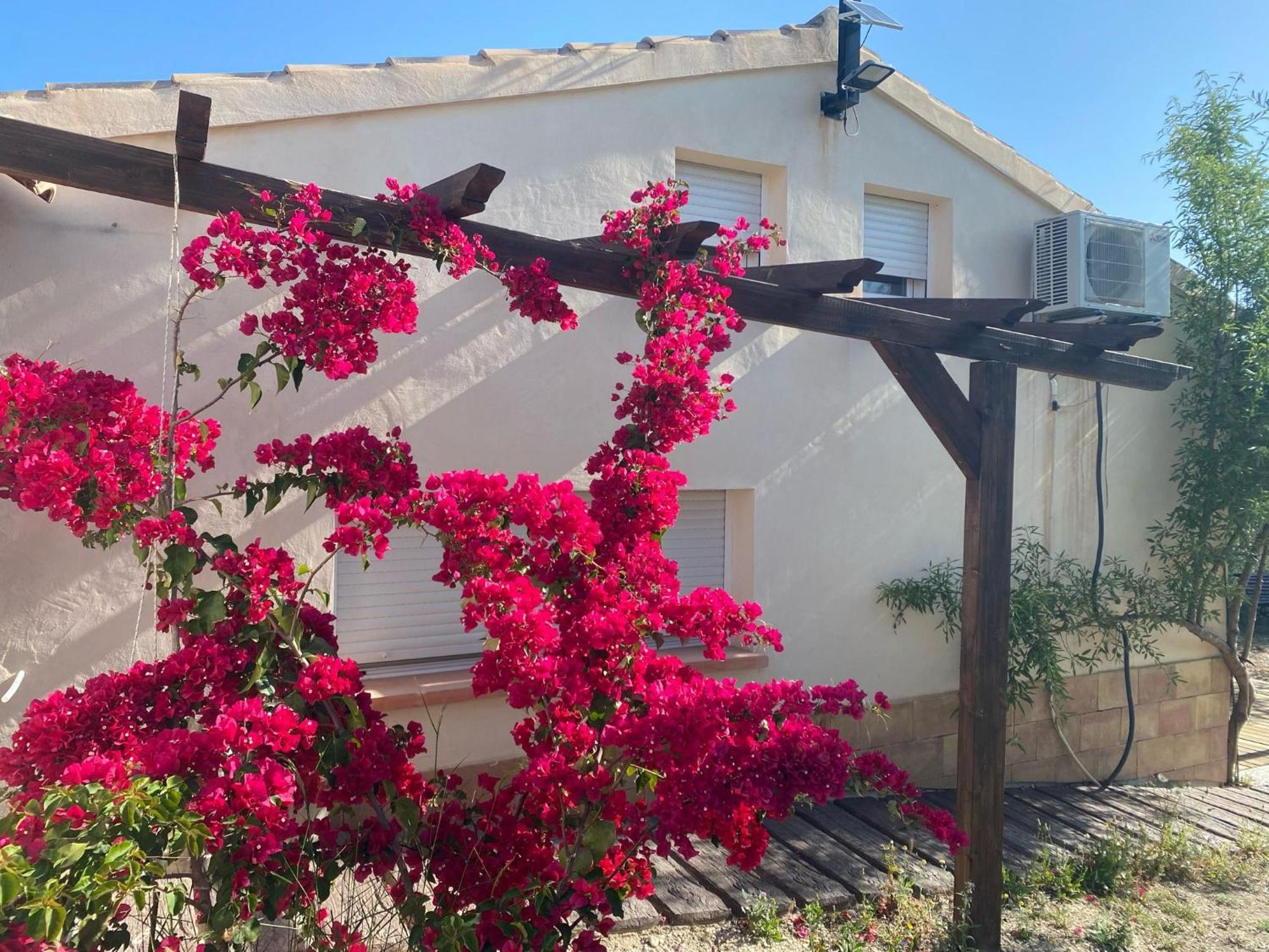 Casaruibella Holiday home Moratalla (Murcia)