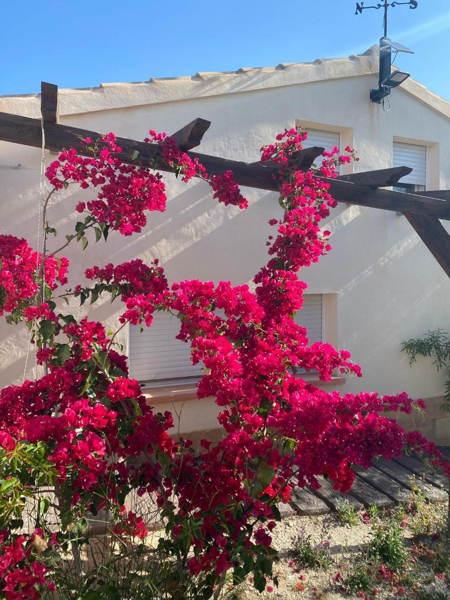 Holiday home Casaruibella