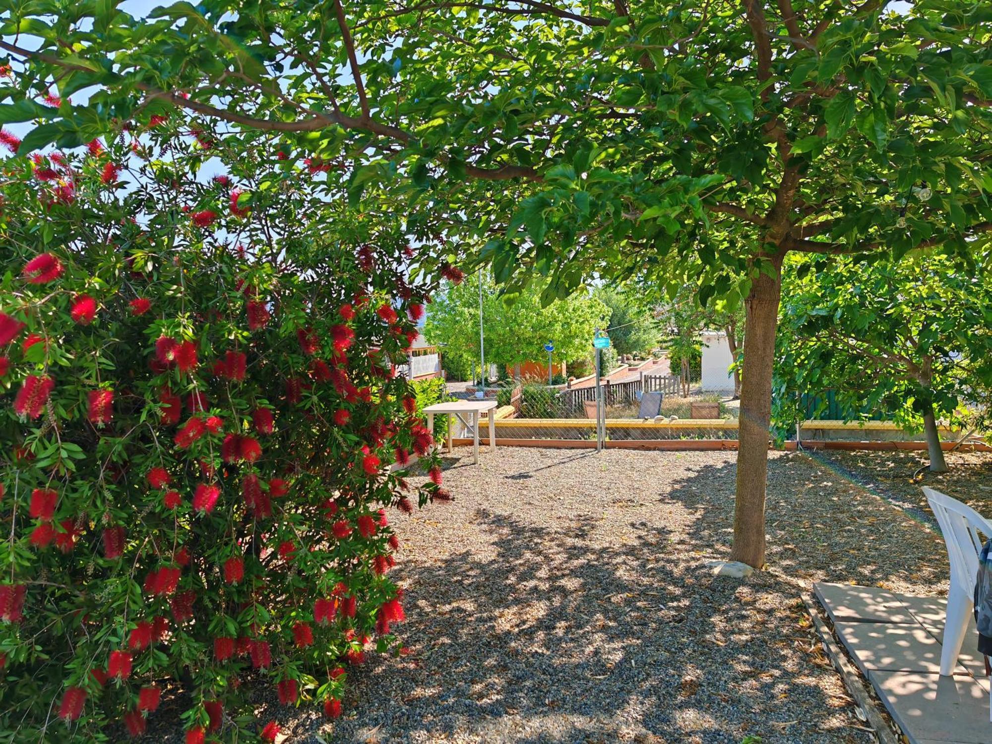 Apartment Montana-camping-fayon Fayon