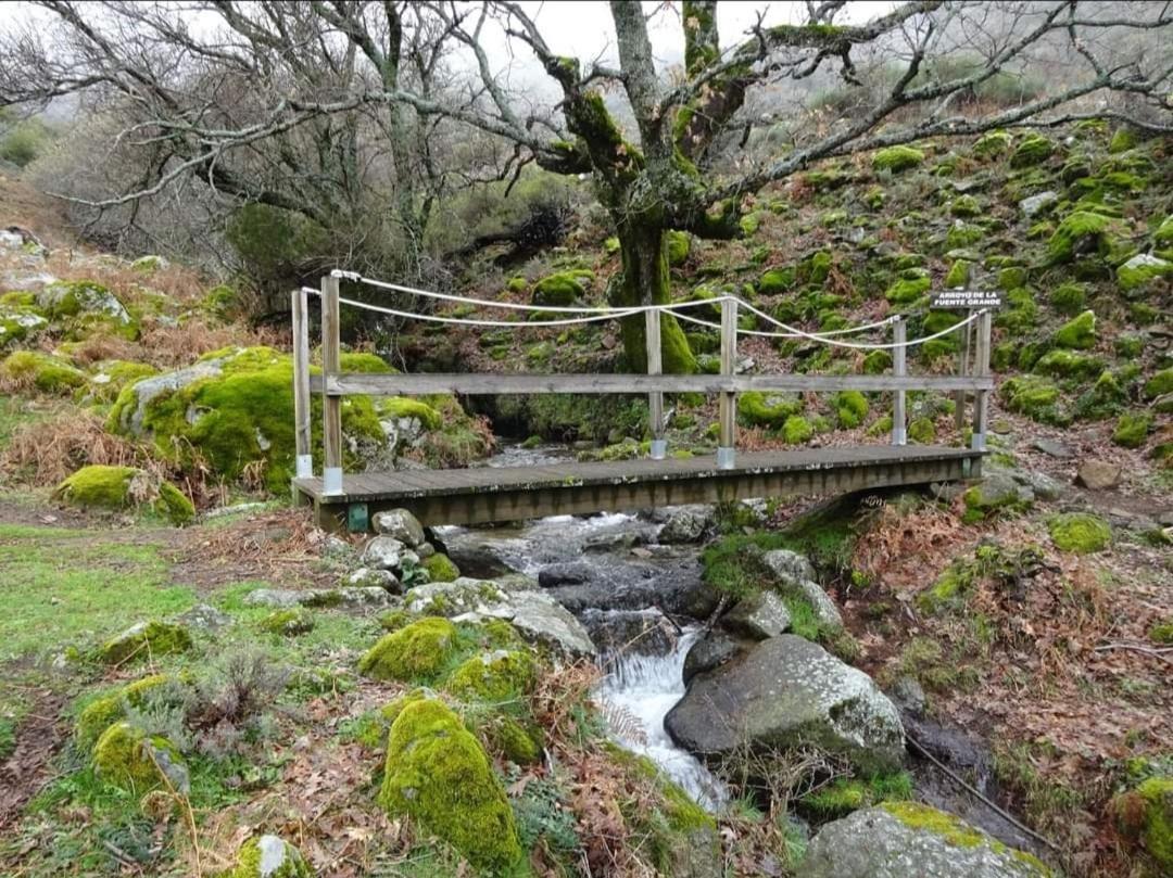 Aires Del Ambroz
