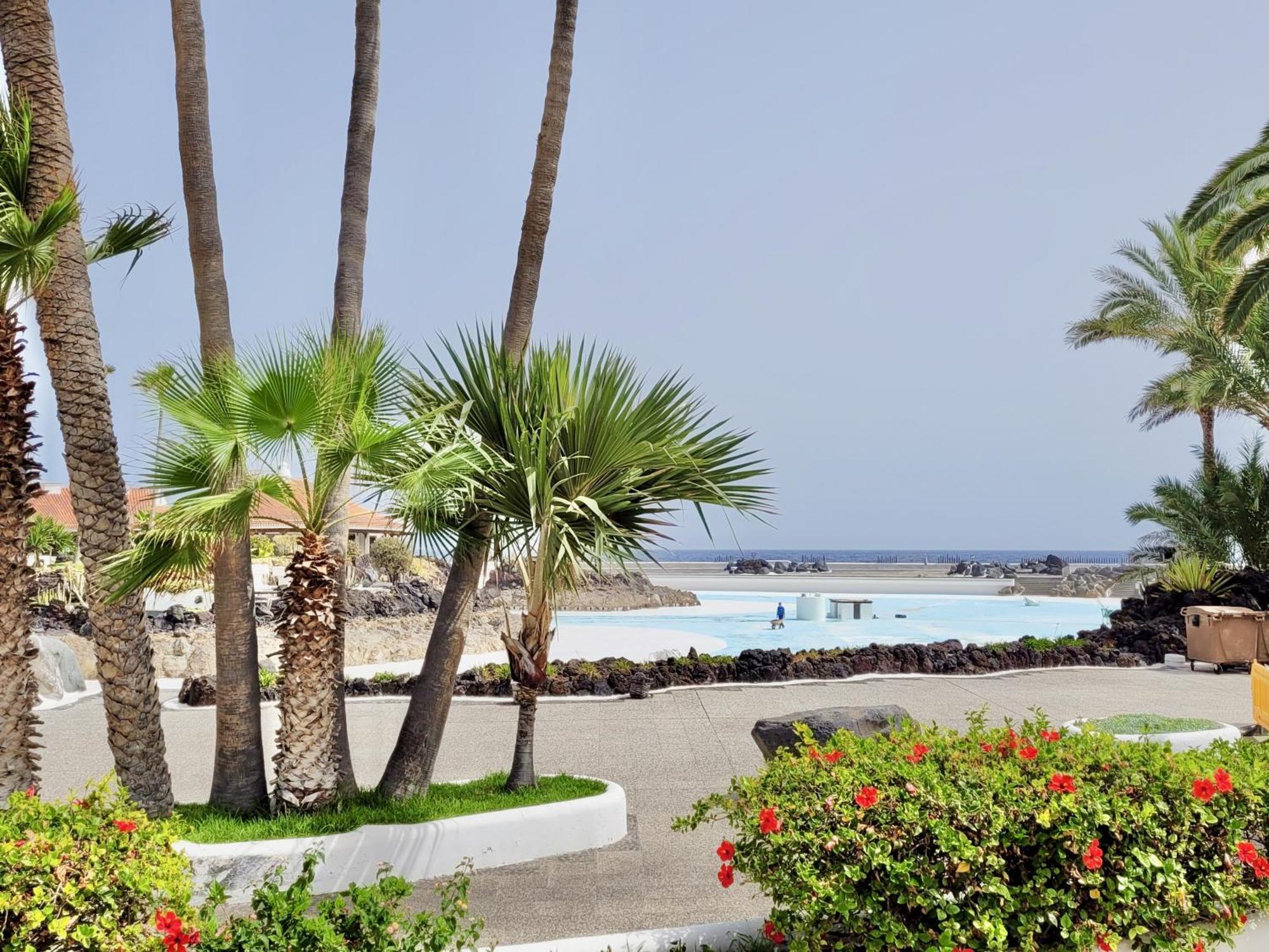 Apartamento Palm Avenue - Adults Only - Puerto de la Cruz (Tenerife)