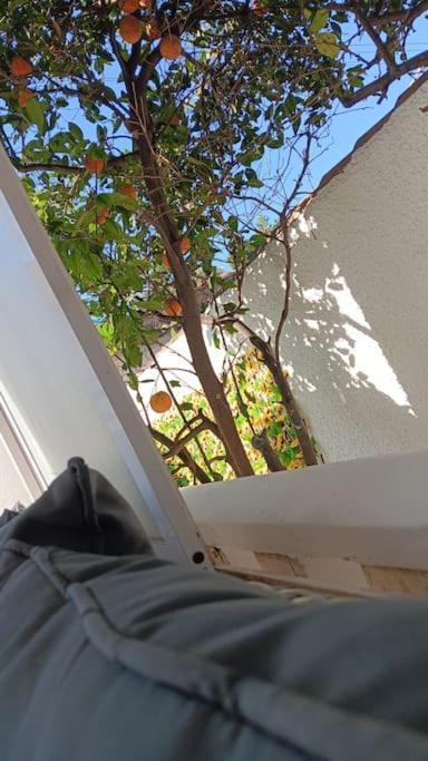 In La Marina With Cozy Garden And Private Solarium
