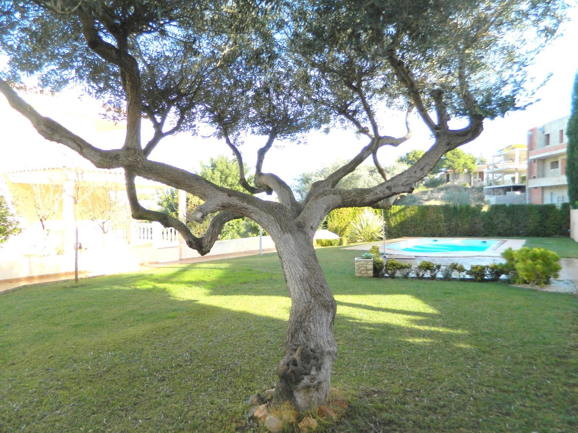 Las Calas Villa Peniscola