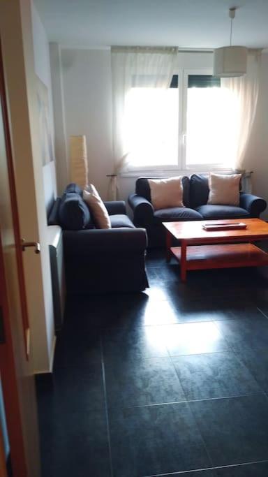 Piso Encanto Palmeiro