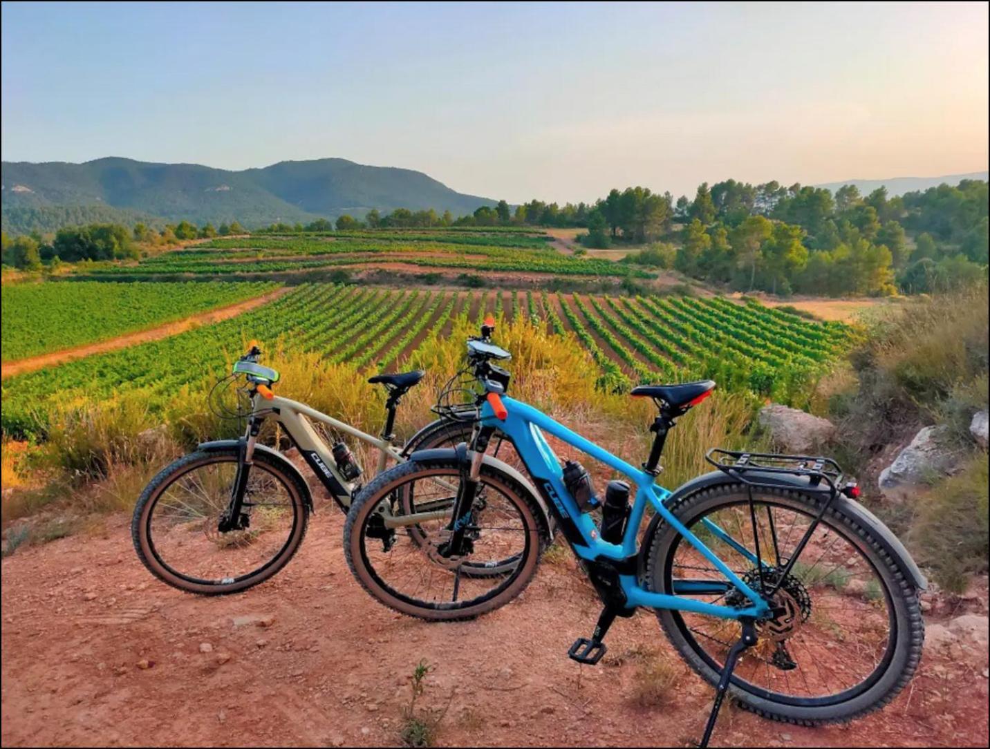 Les Voltes Ii - 3bd Gem In Hilltop Wine Village With Amazing Views Barbará